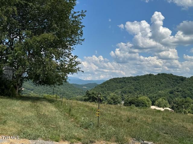 17470 Celebrity Lane, Abingdon, Virginia image 20