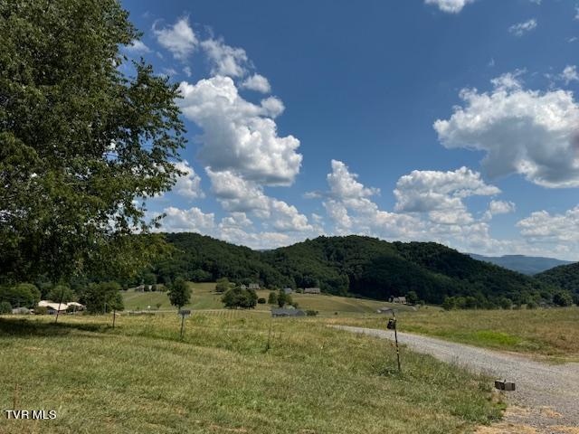 17470 Celebrity Lane, Abingdon, Virginia image 21