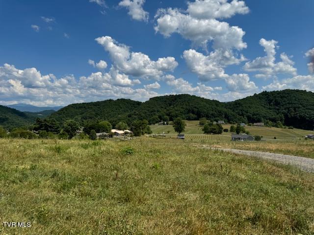 17470 Celebrity Lane, Abingdon, Virginia image 23