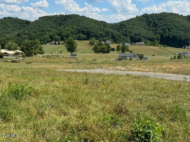 17470 Celebrity Lane, Abingdon, Virginia image 28