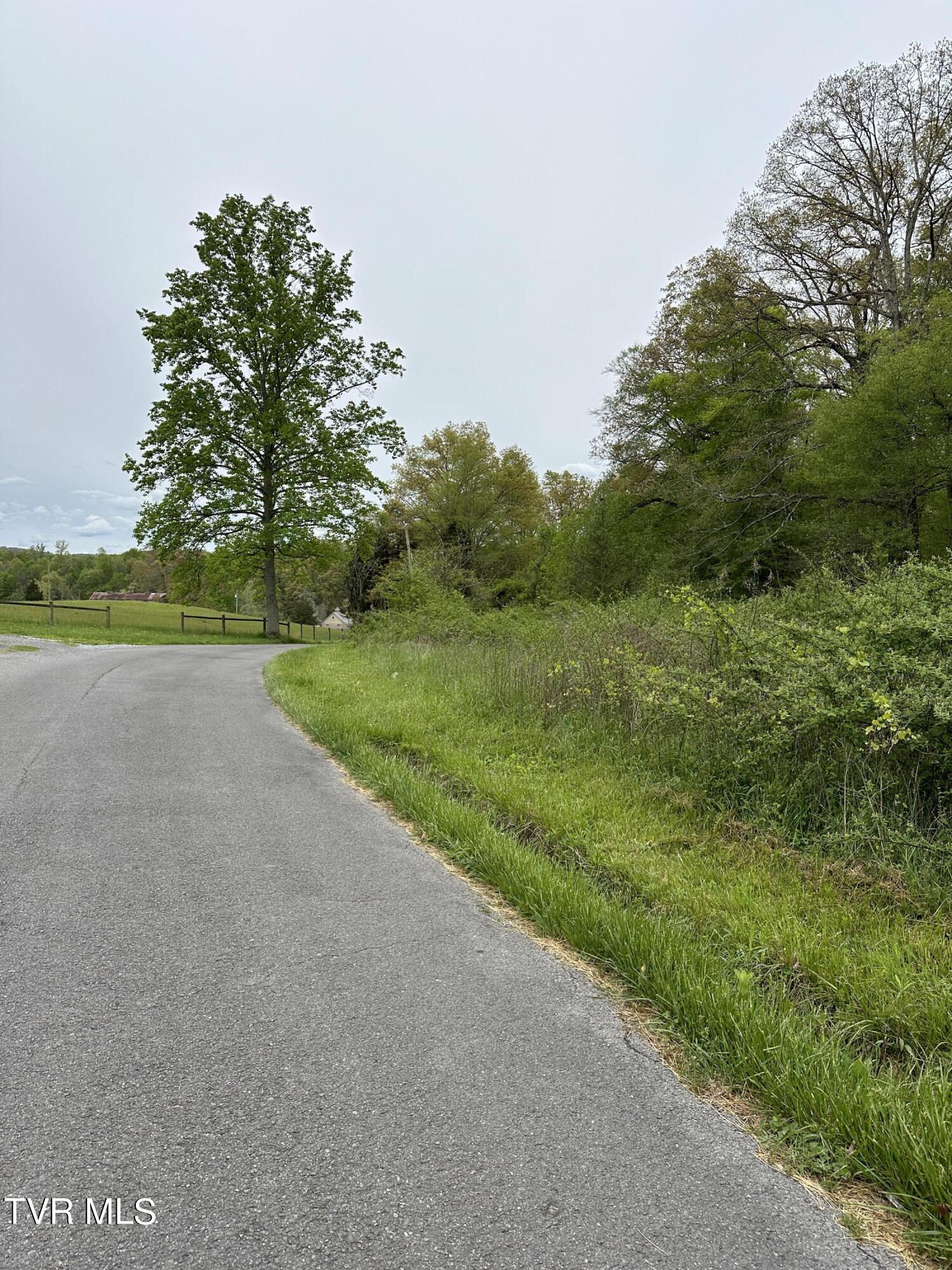 00 Williams  (42 Acres), Surgoinsville, Tennessee image 2