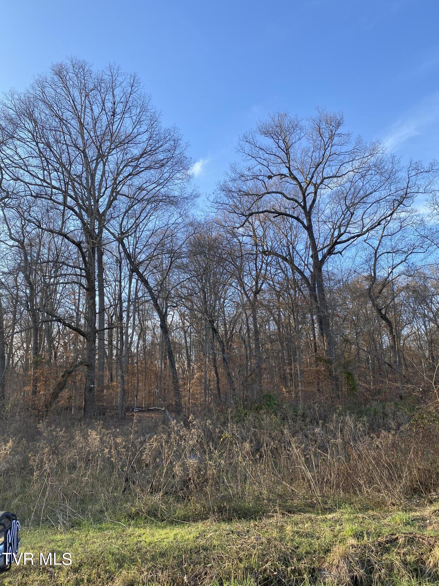 00 Williams  (42 Acres), Surgoinsville, Tennessee image 18