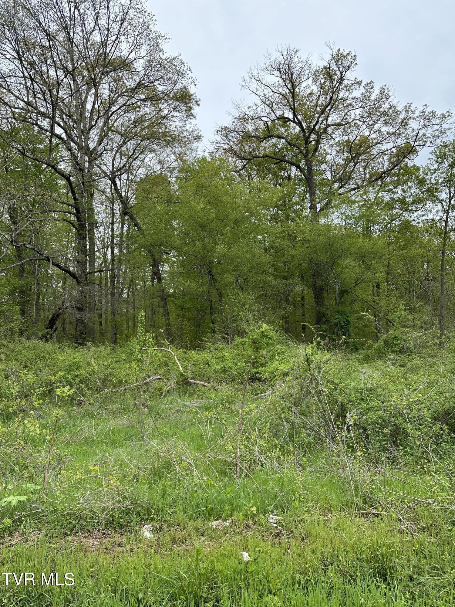 00 Williams  (42 Acres), Surgoinsville, Tennessee image 11