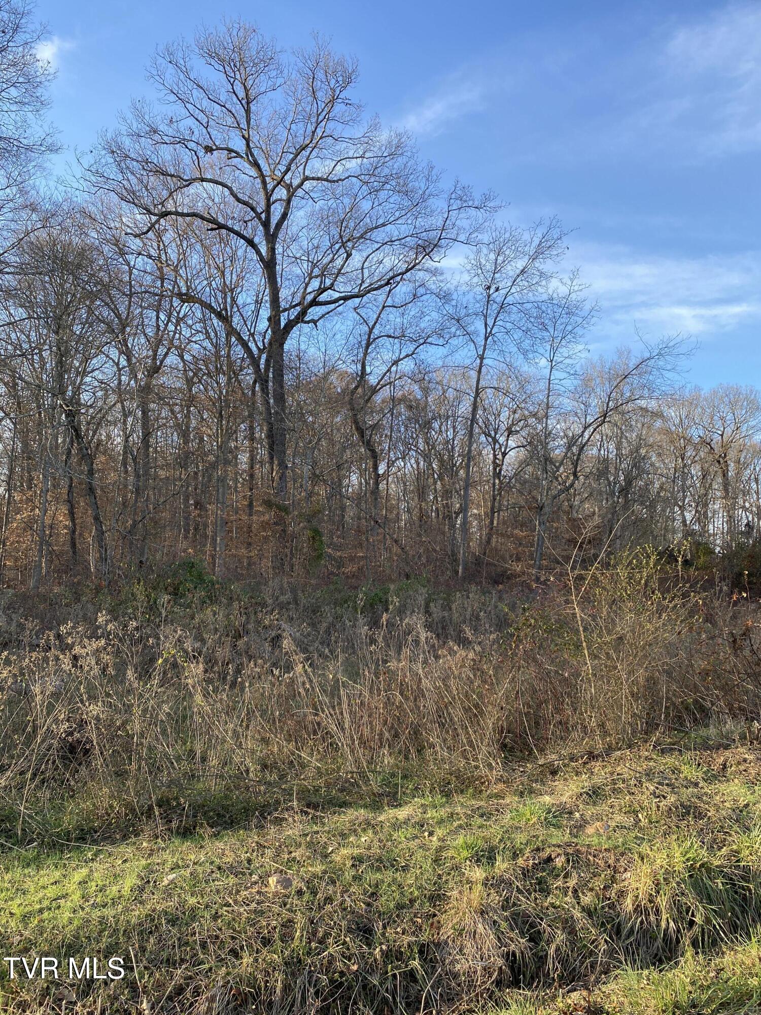 00 Williams  (42 Acres), Surgoinsville, Tennessee image 21