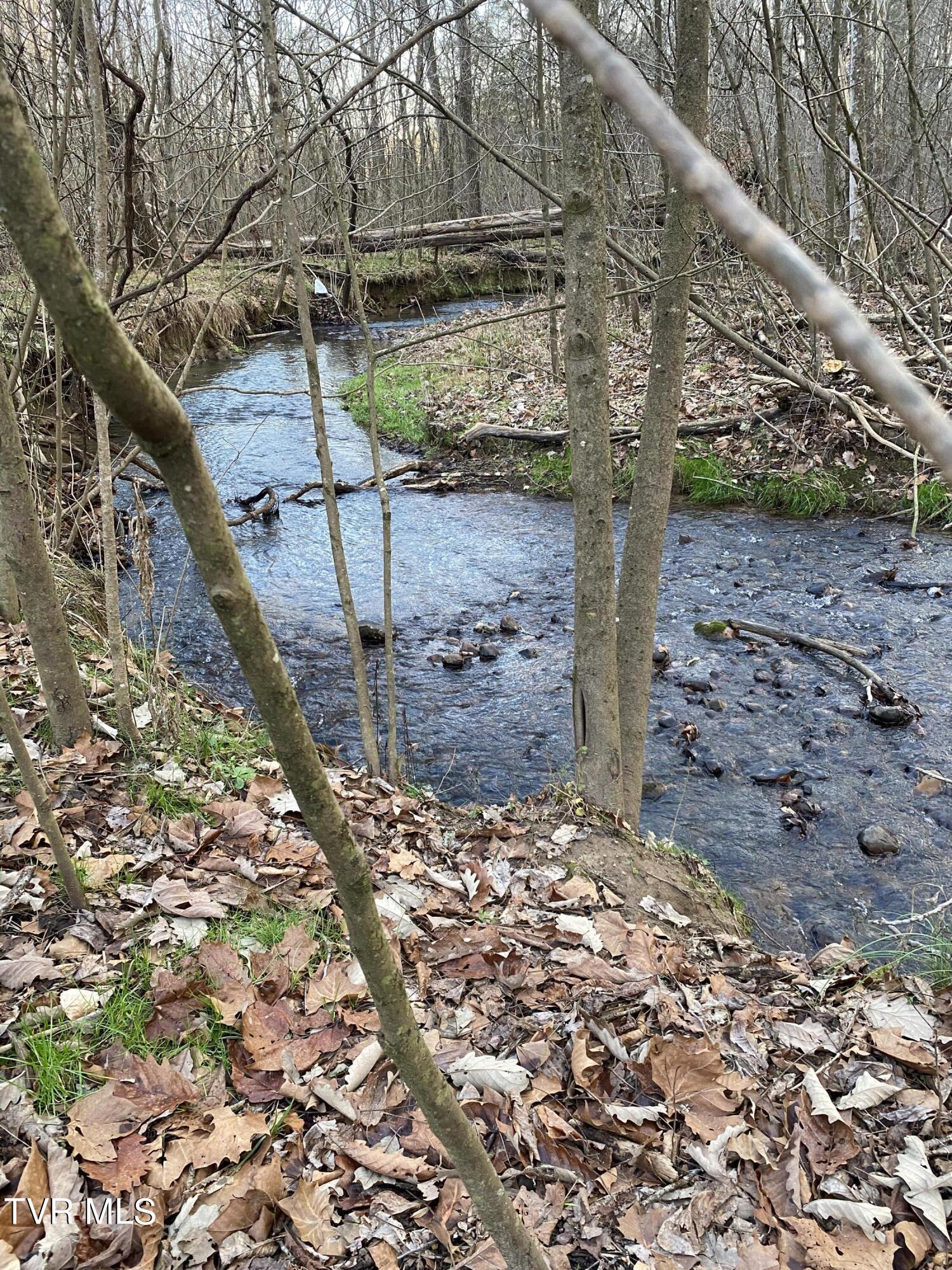00 Williams  (42 Acres), Surgoinsville, Tennessee image 1