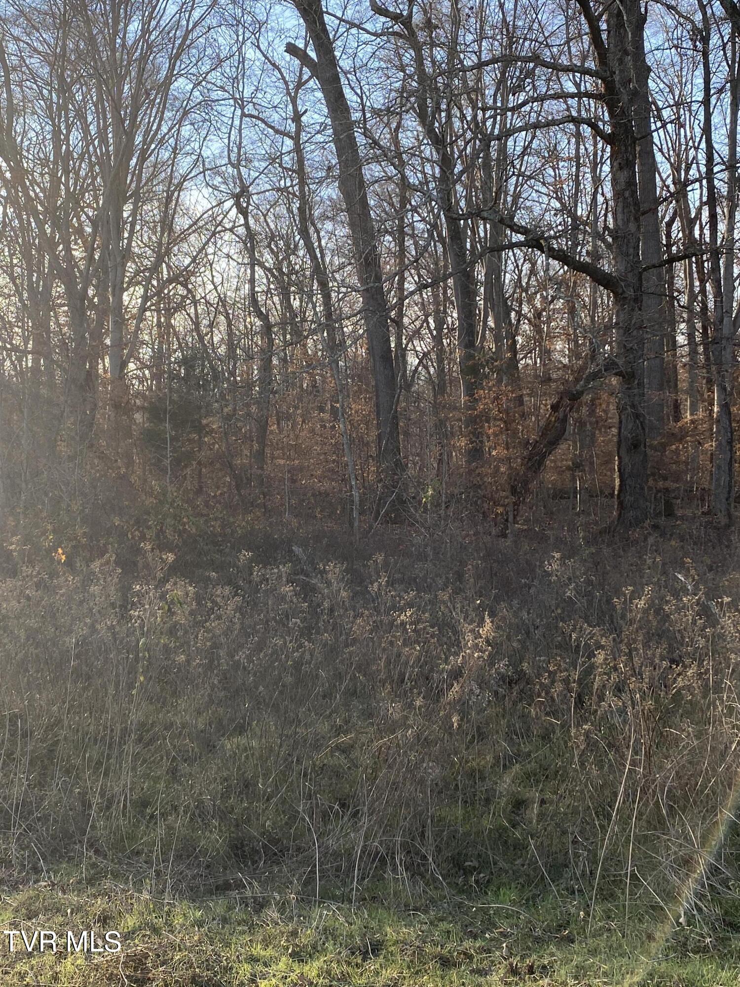 00 Williams  (42 Acres), Surgoinsville, Tennessee image 22