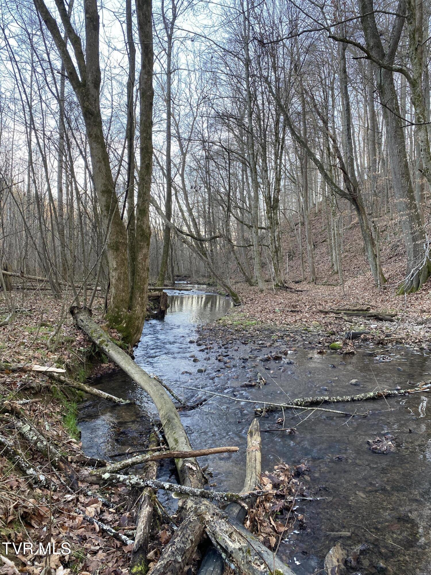 00 Williams  (42 Acres), Surgoinsville, Tennessee image 27
