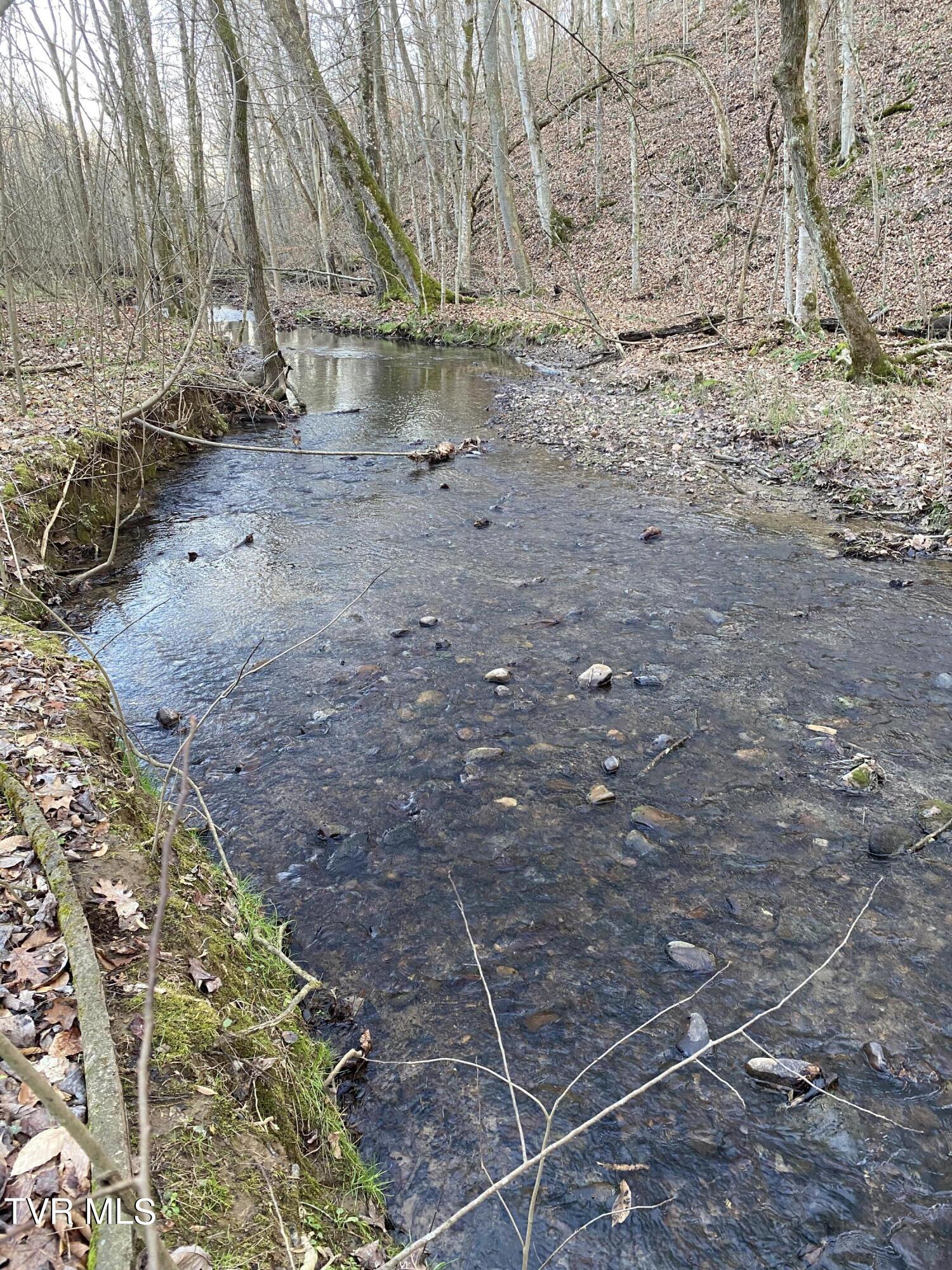 00 Williams  (42 Acres), Surgoinsville, Tennessee image 3