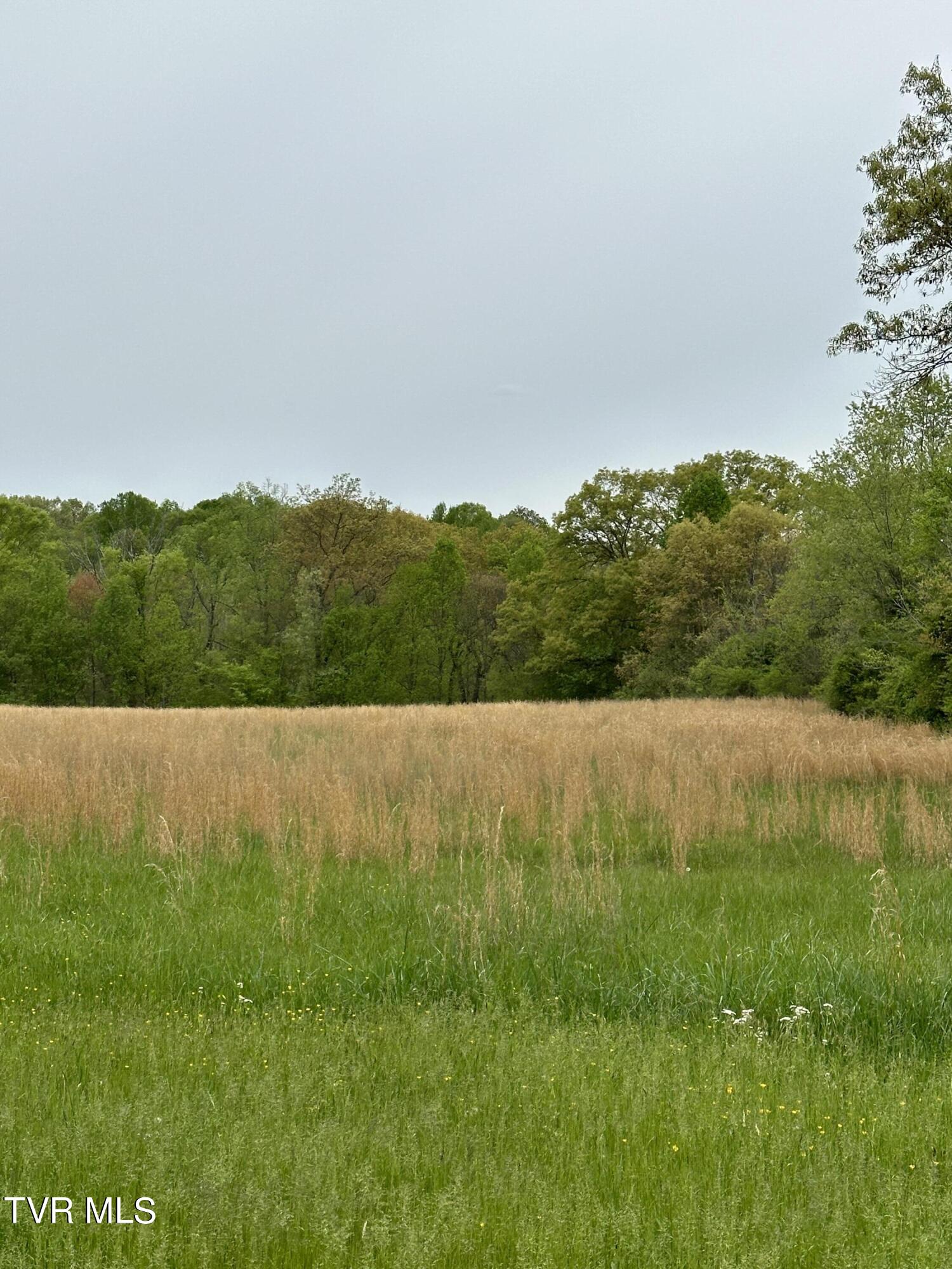 00 Williams  (42 Acres), Surgoinsville, Tennessee image 13