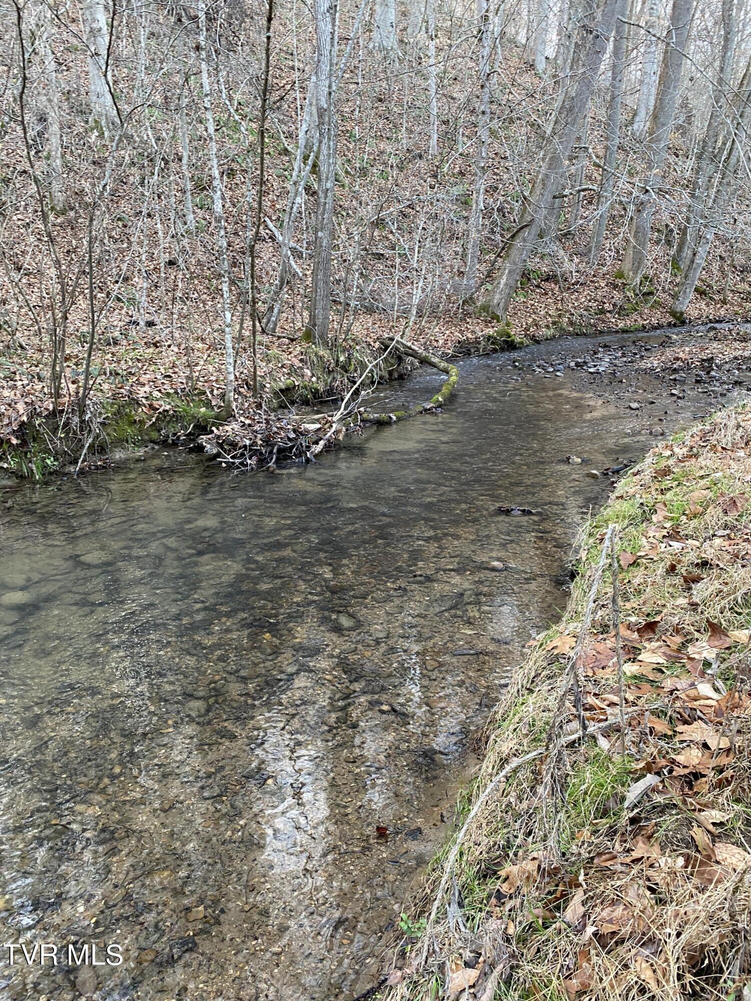 00 Williams  (42 Acres), Surgoinsville, Tennessee image 35