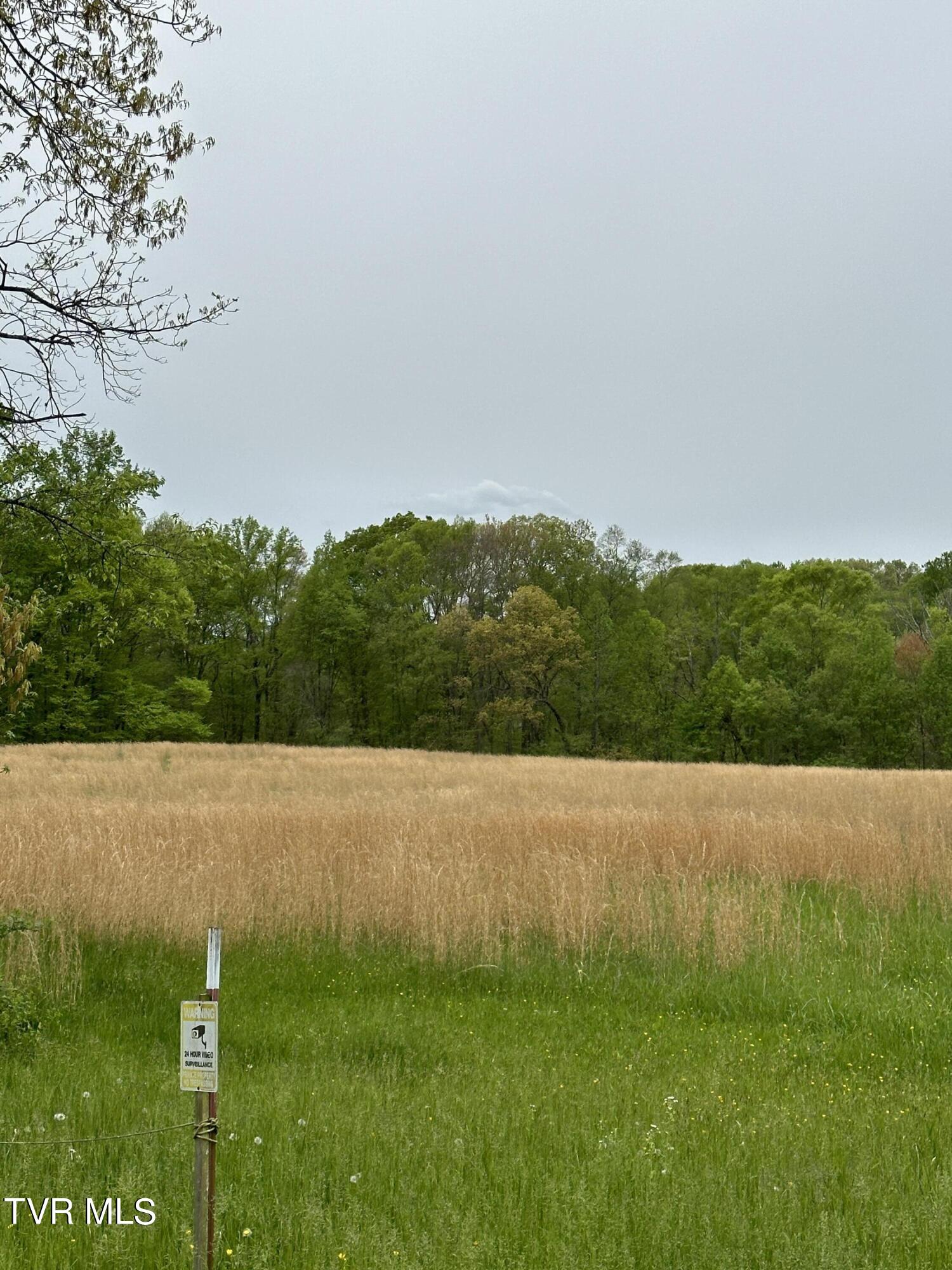 00 Williams  (42 Acres), Surgoinsville, Tennessee image 20