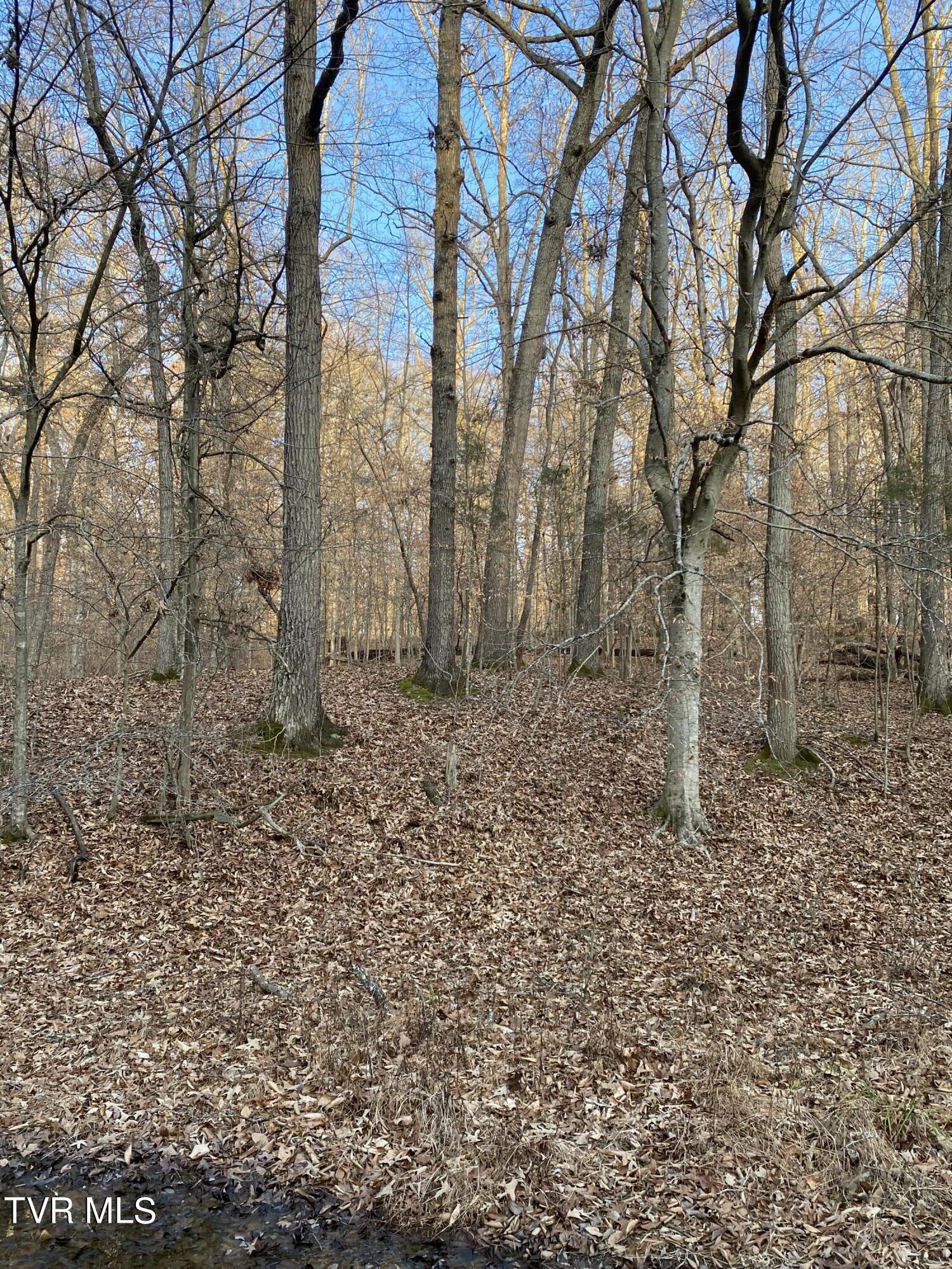 00 Williams  (42 Acres), Surgoinsville, Tennessee image 37