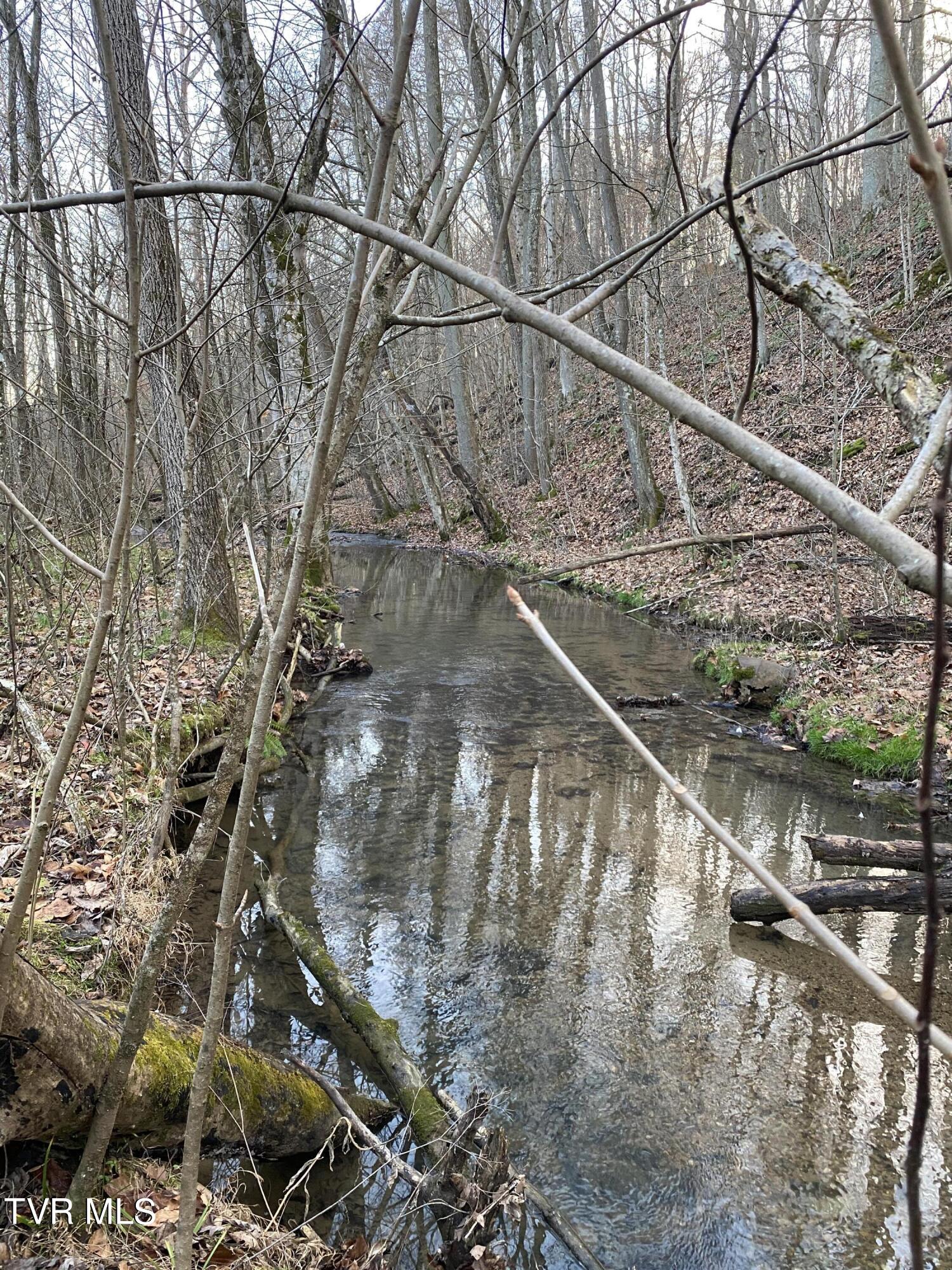 00 Williams  (42 Acres), Surgoinsville, Tennessee image 33