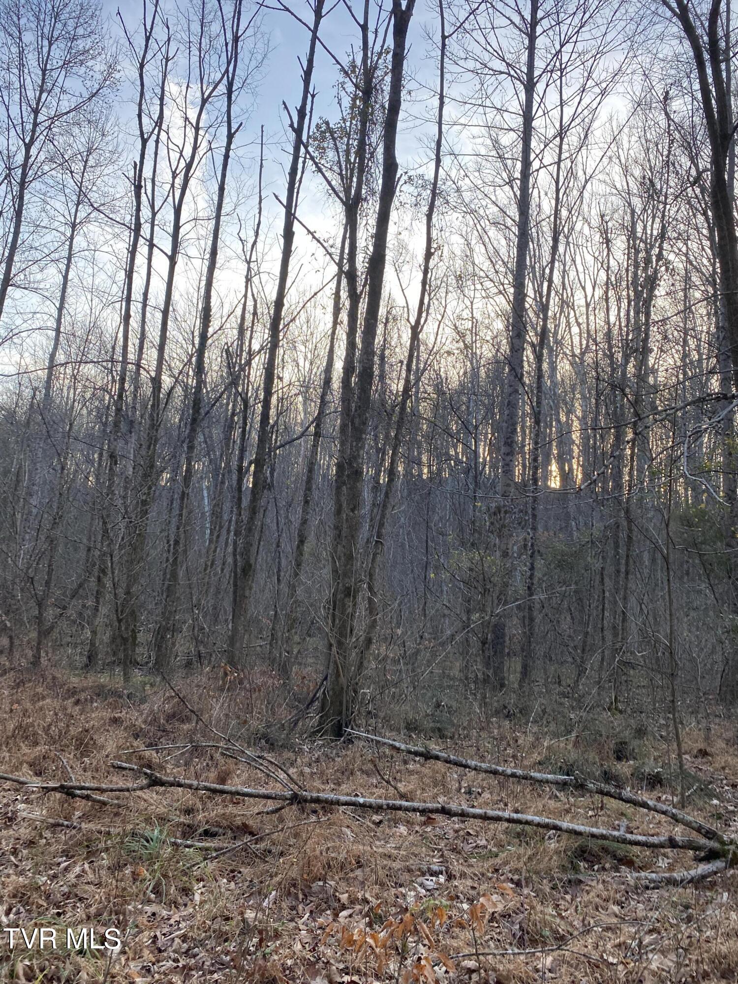00 Williams  (42 Acres), Surgoinsville, Tennessee image 40