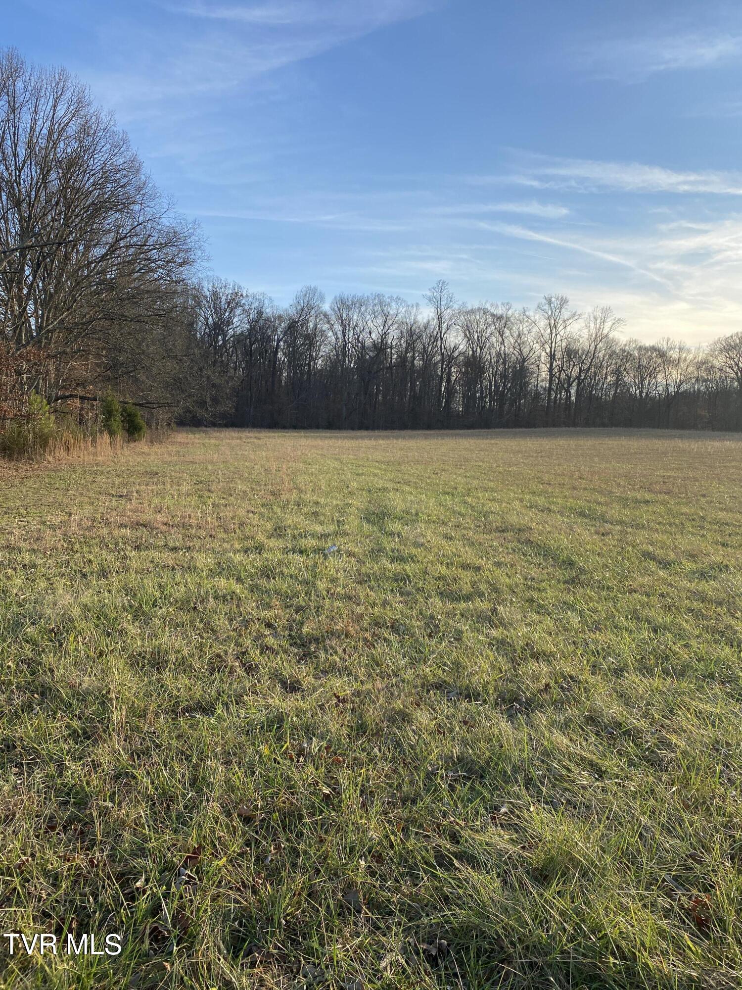 00 Williams  (42 Acres), Surgoinsville, Tennessee image 5