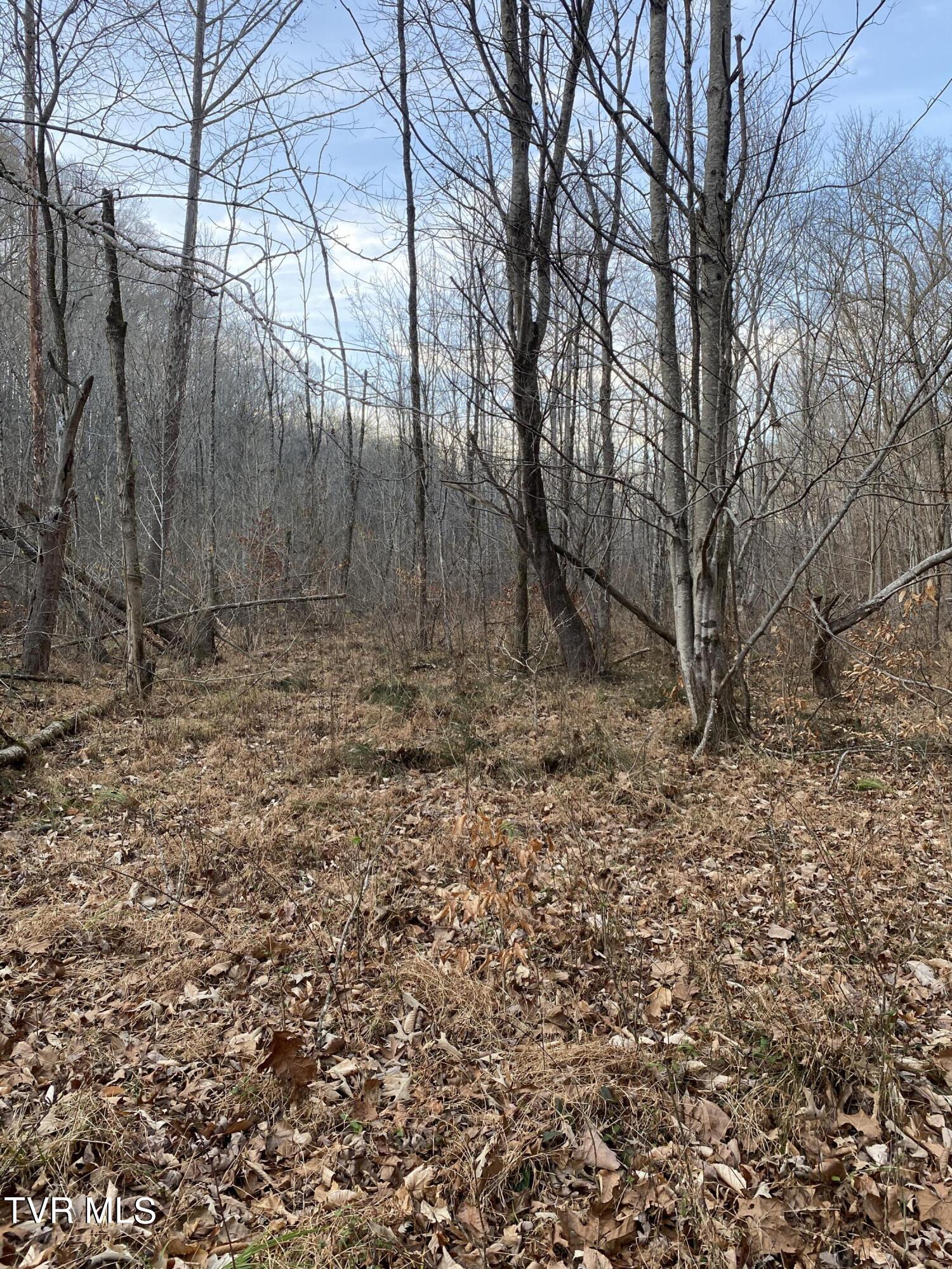 00 Williams  (42 Acres), Surgoinsville, Tennessee image 39