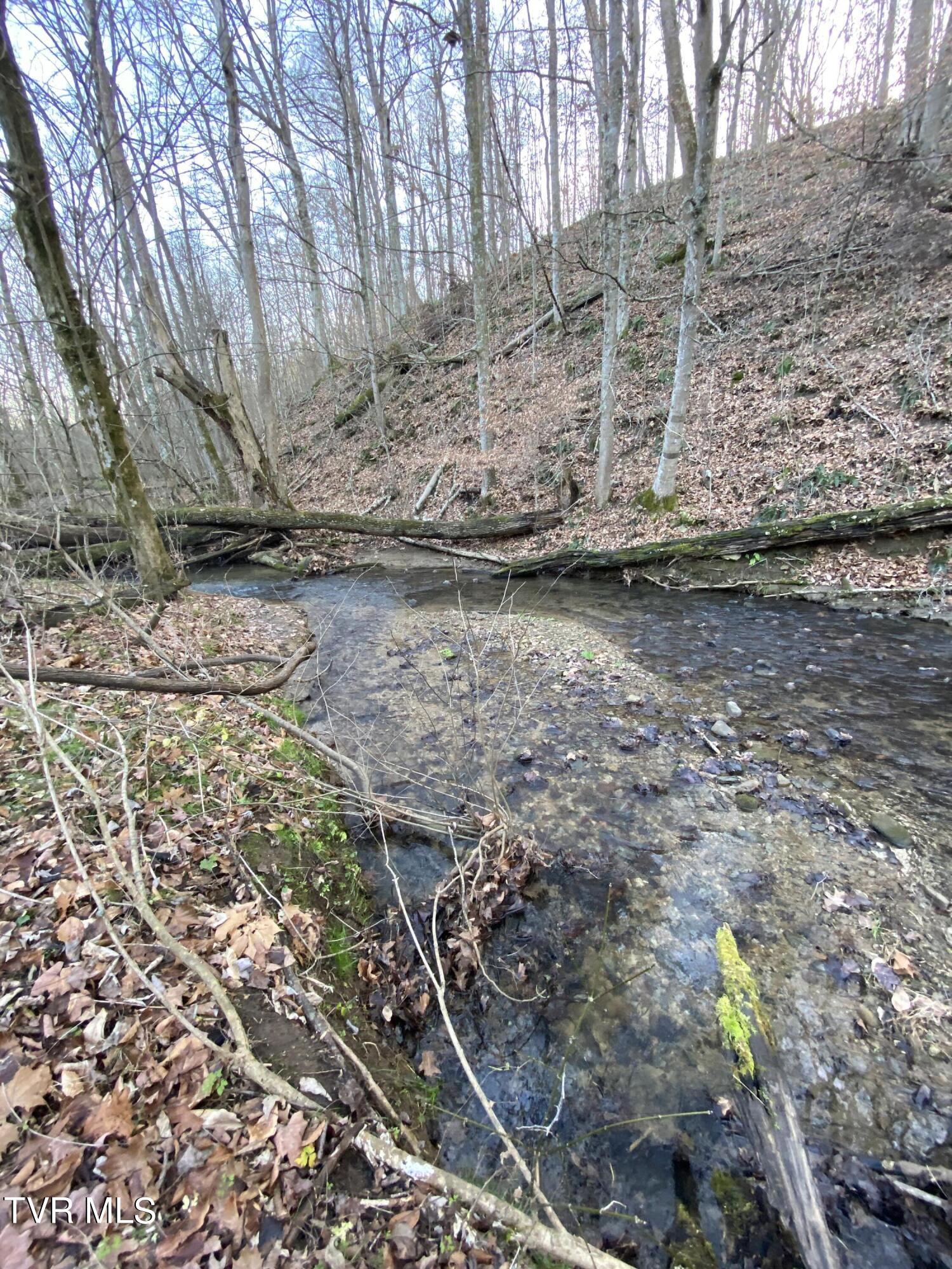 00 Williams  (42 Acres), Surgoinsville, Tennessee image 32