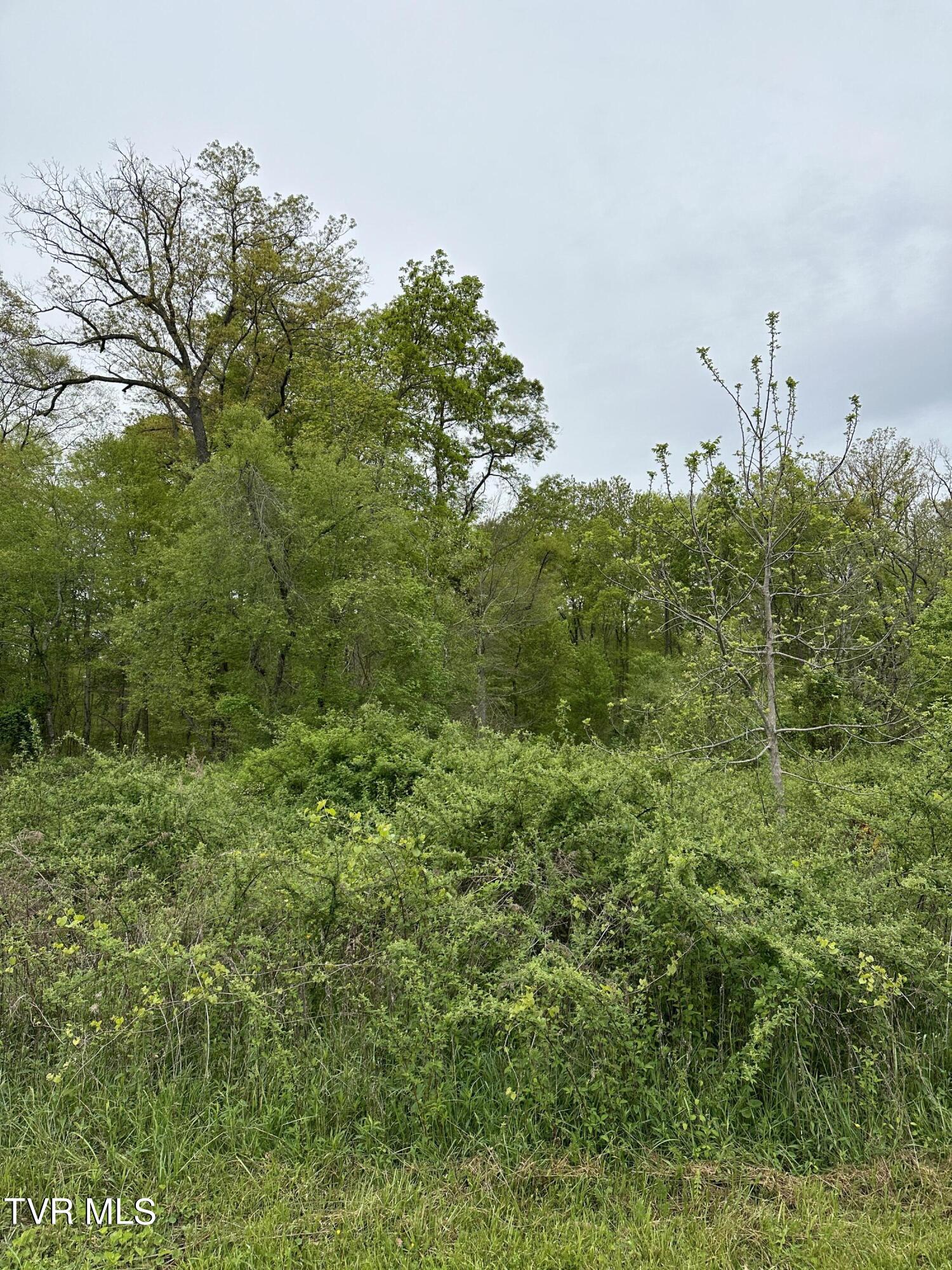 00 Williams  (42 Acres), Surgoinsville, Tennessee image 7