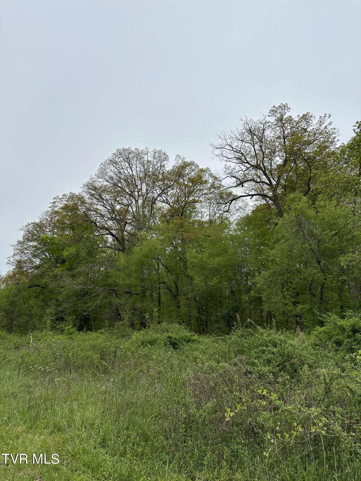 00 Williams  (42 Acres), Surgoinsville, Tennessee image 10
