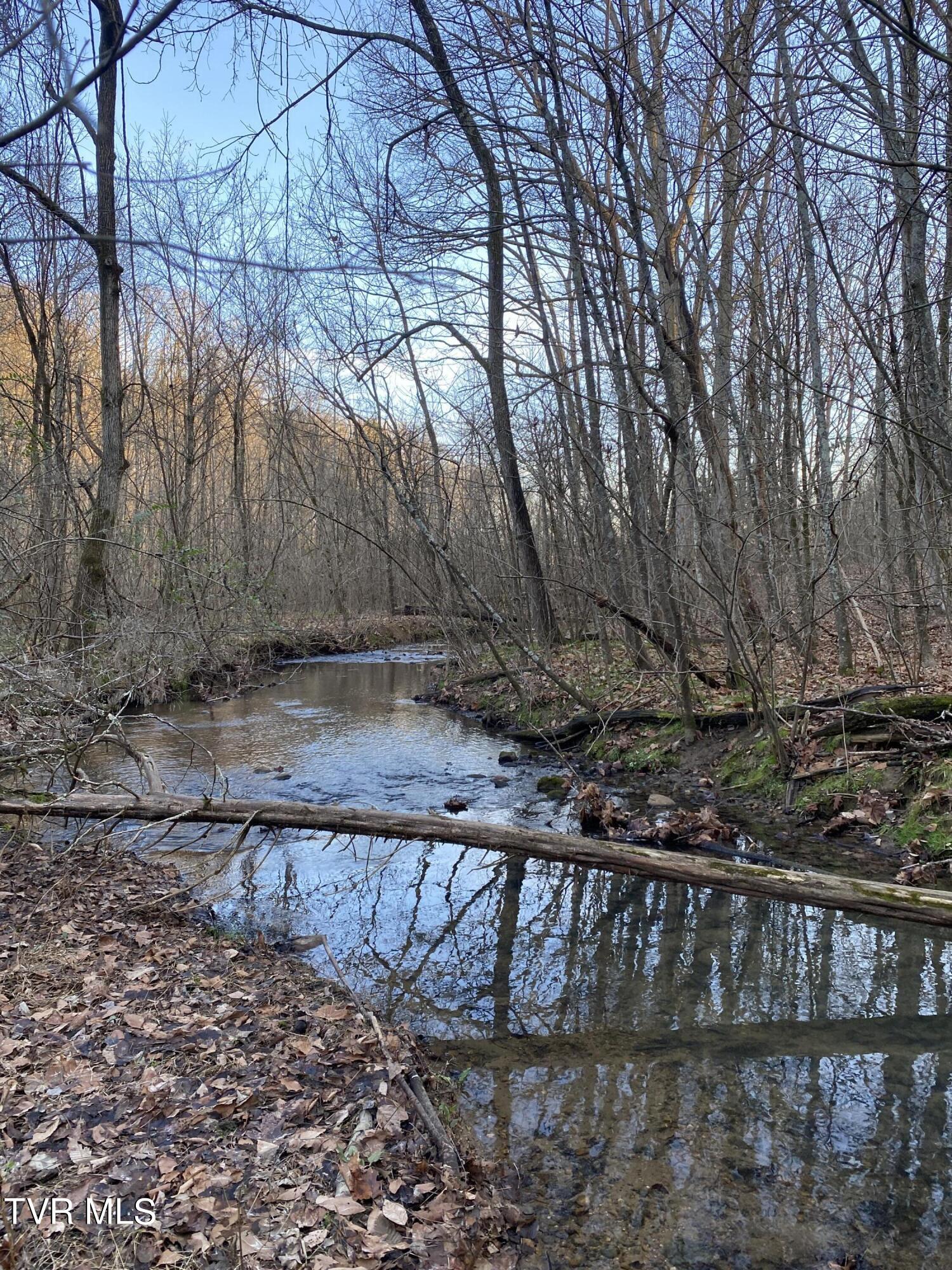 00 Williams  (42 Acres), Surgoinsville, Tennessee image 19