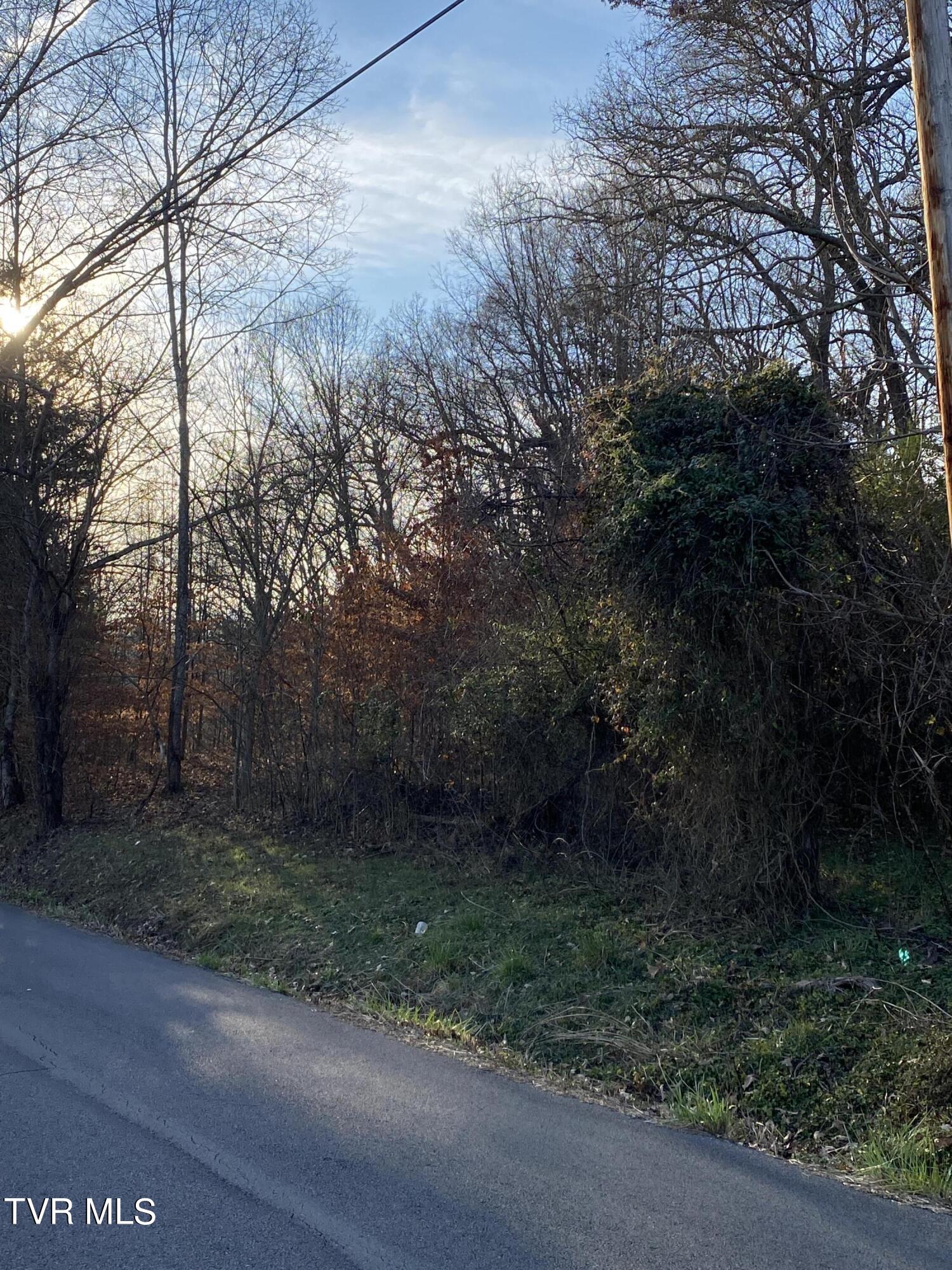 00 Williams  (42 Acres), Surgoinsville, Tennessee image 15