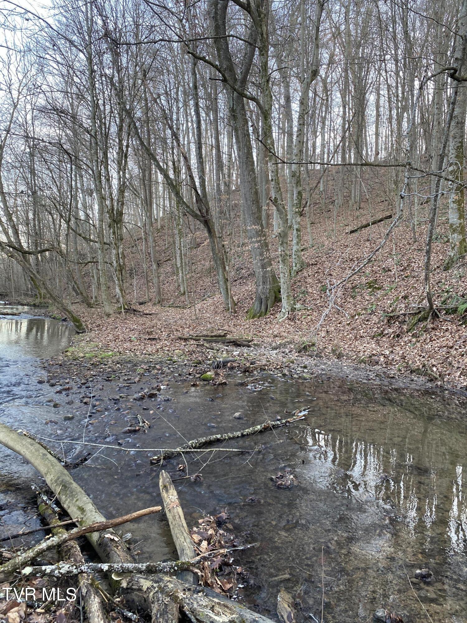 00 Williams  (42 Acres), Surgoinsville, Tennessee image 29