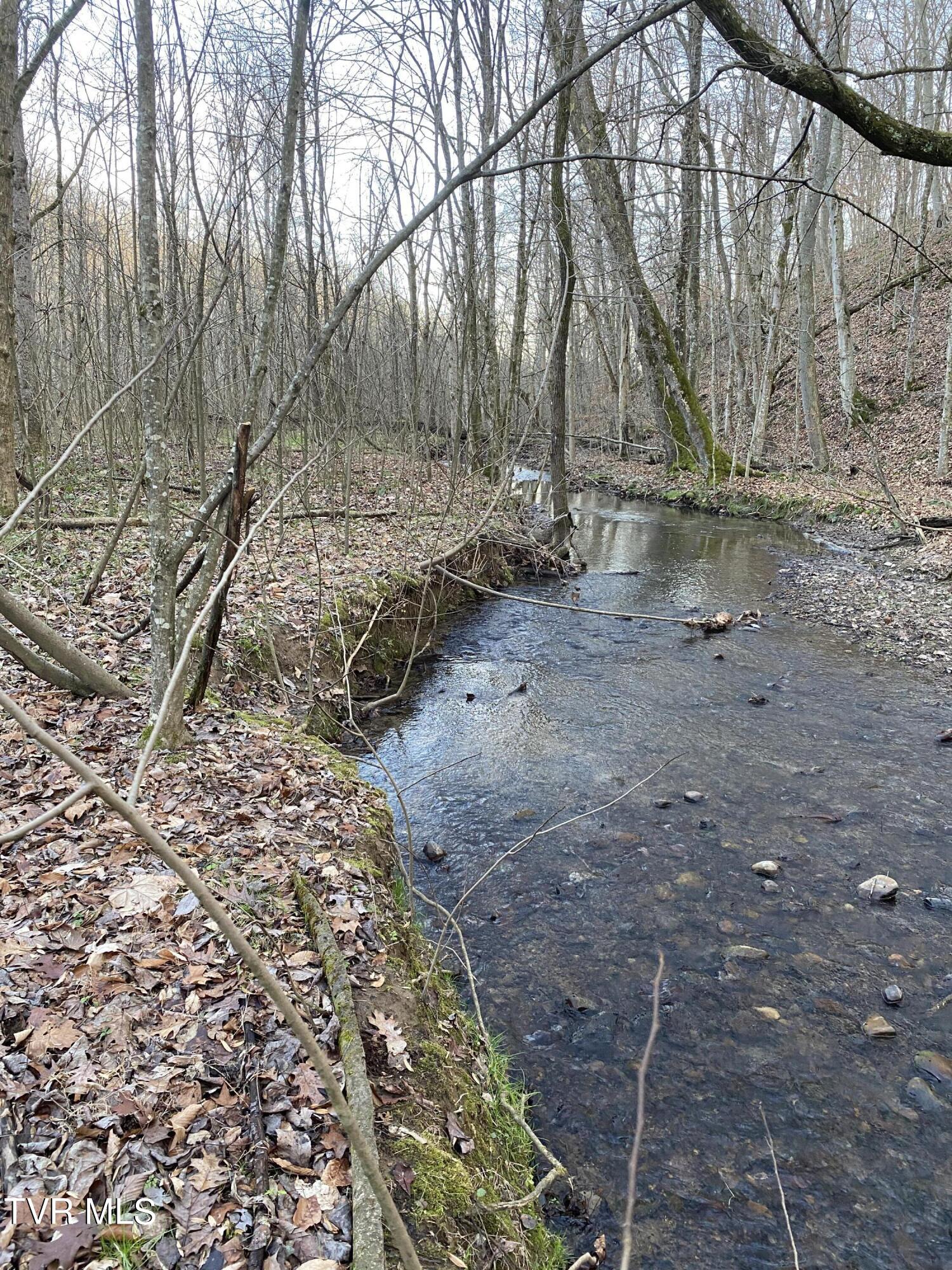 00 Williams  (42 Acres), Surgoinsville, Tennessee image 30