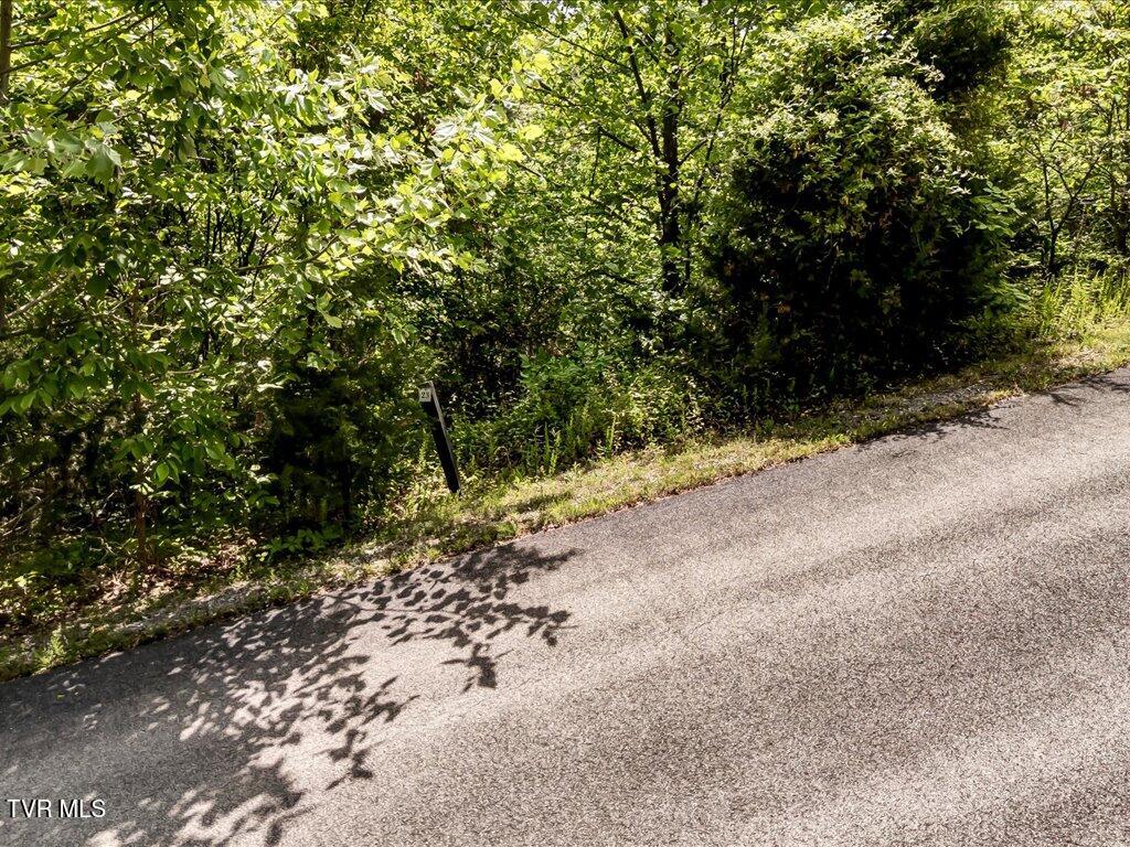Lot 23 Emerald Pointe Boulevard, Sevierville, Tennessee image 8