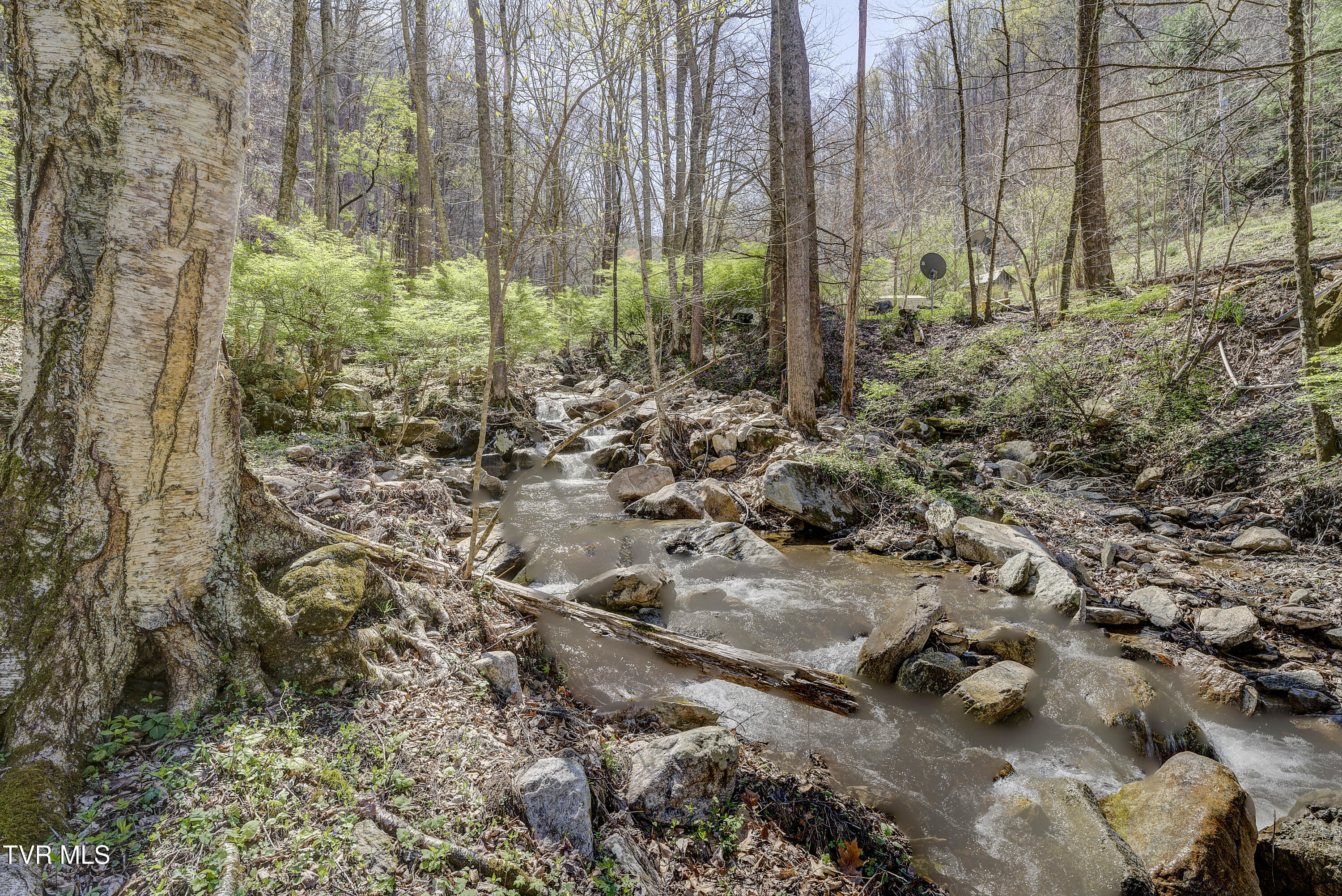 869 Tumbling Creek Road, Erwin, Tennessee image 32