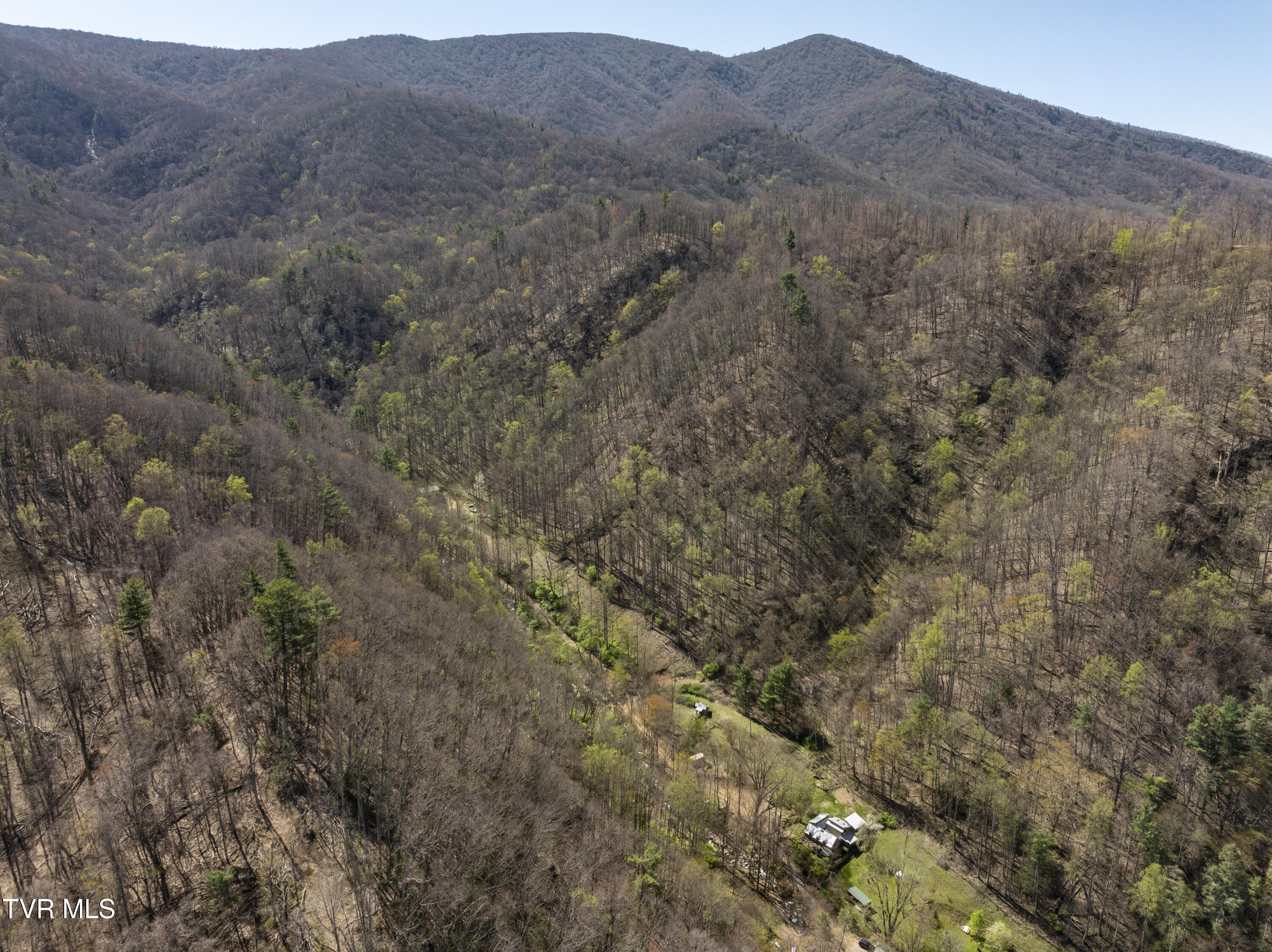 869 Tumbling Creek Road, Erwin, Tennessee image 45