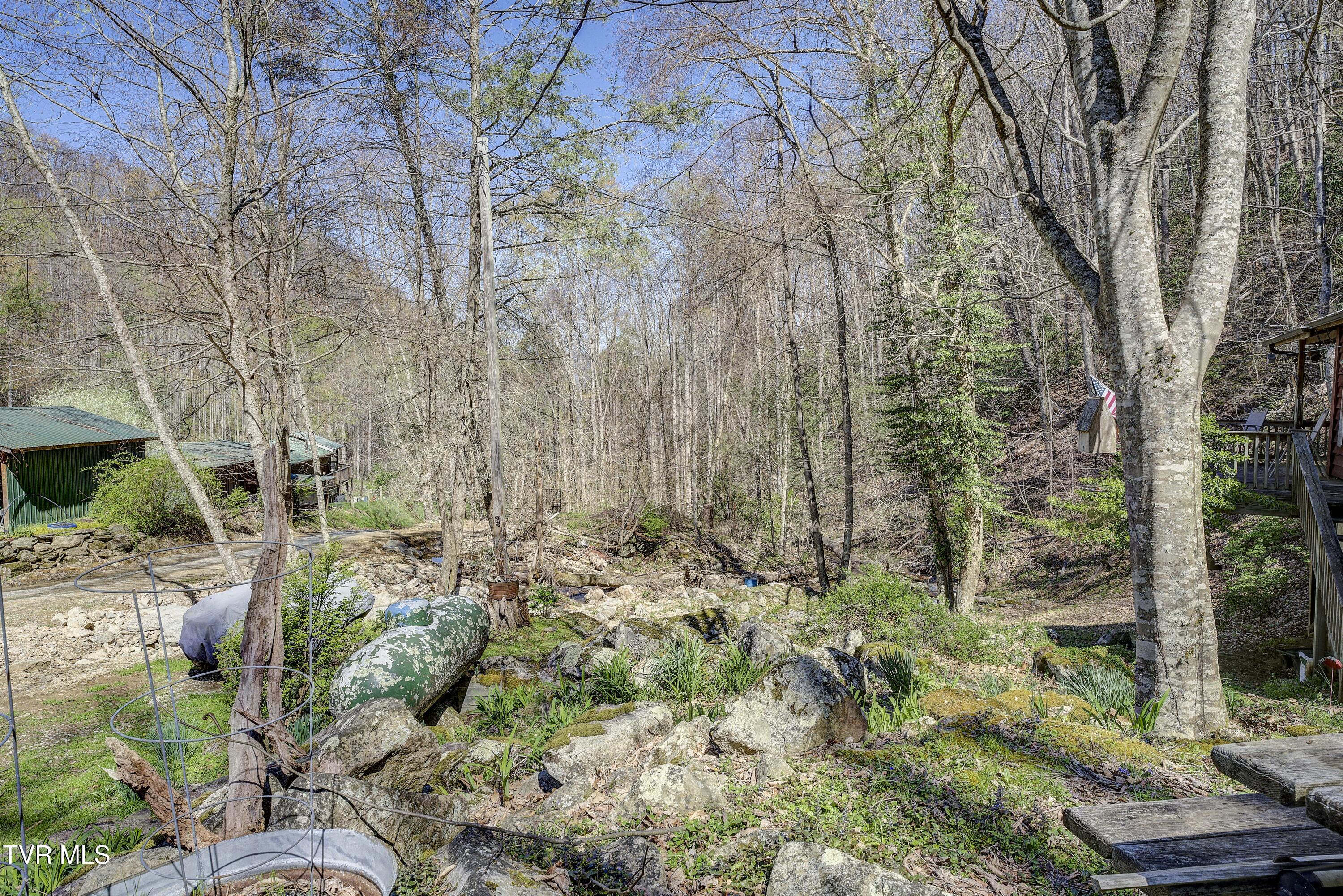 869 Tumbling Creek Road, Erwin, Tennessee image 19