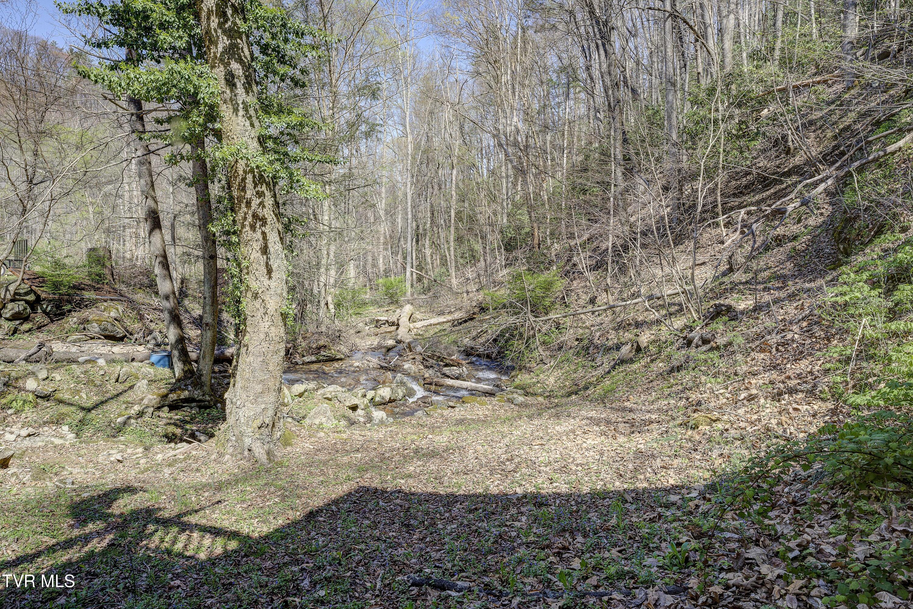 869 Tumbling Creek Road, Erwin, Tennessee image 35