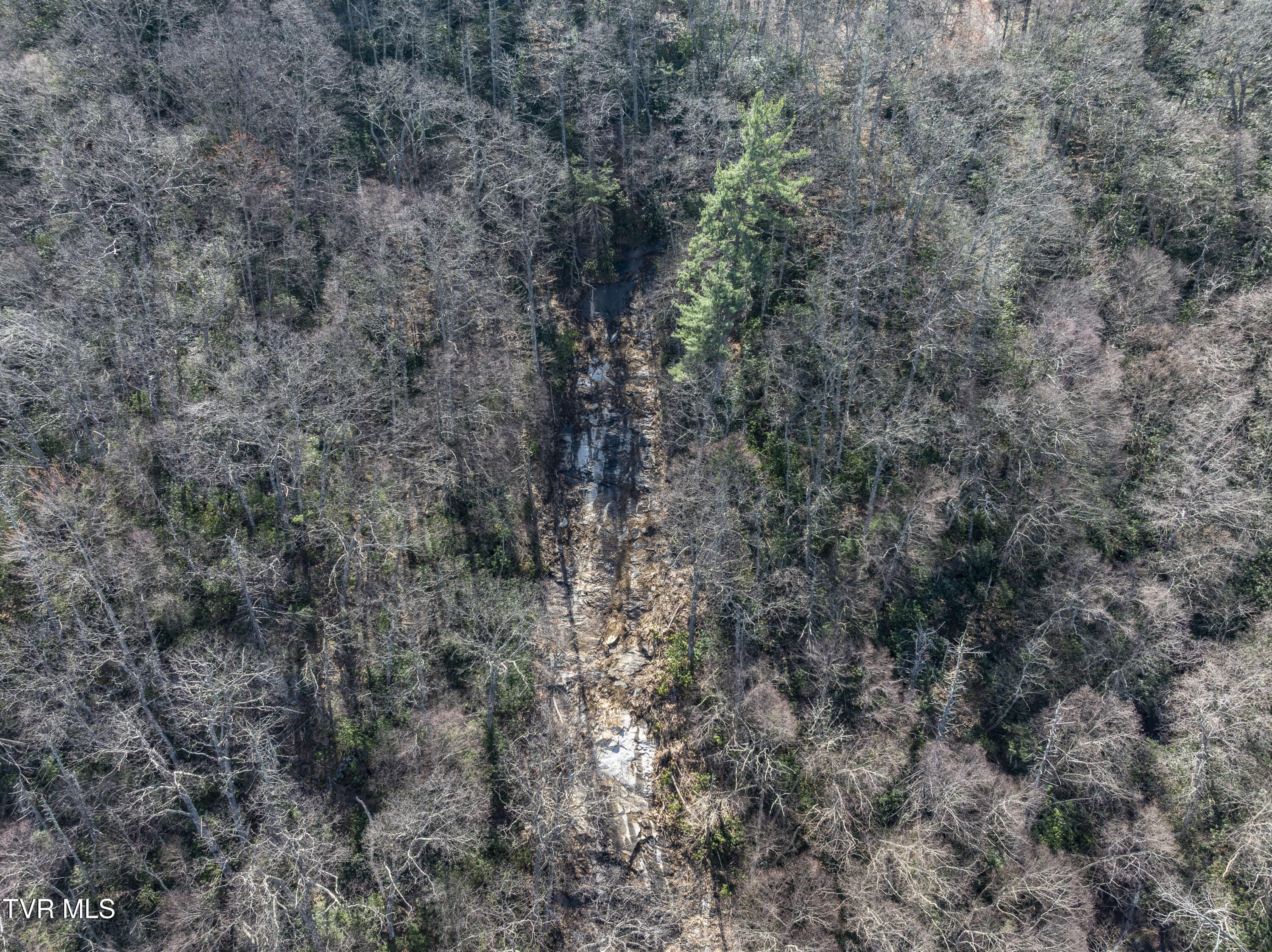 869 Tumbling Creek Road, Erwin, Tennessee image 46