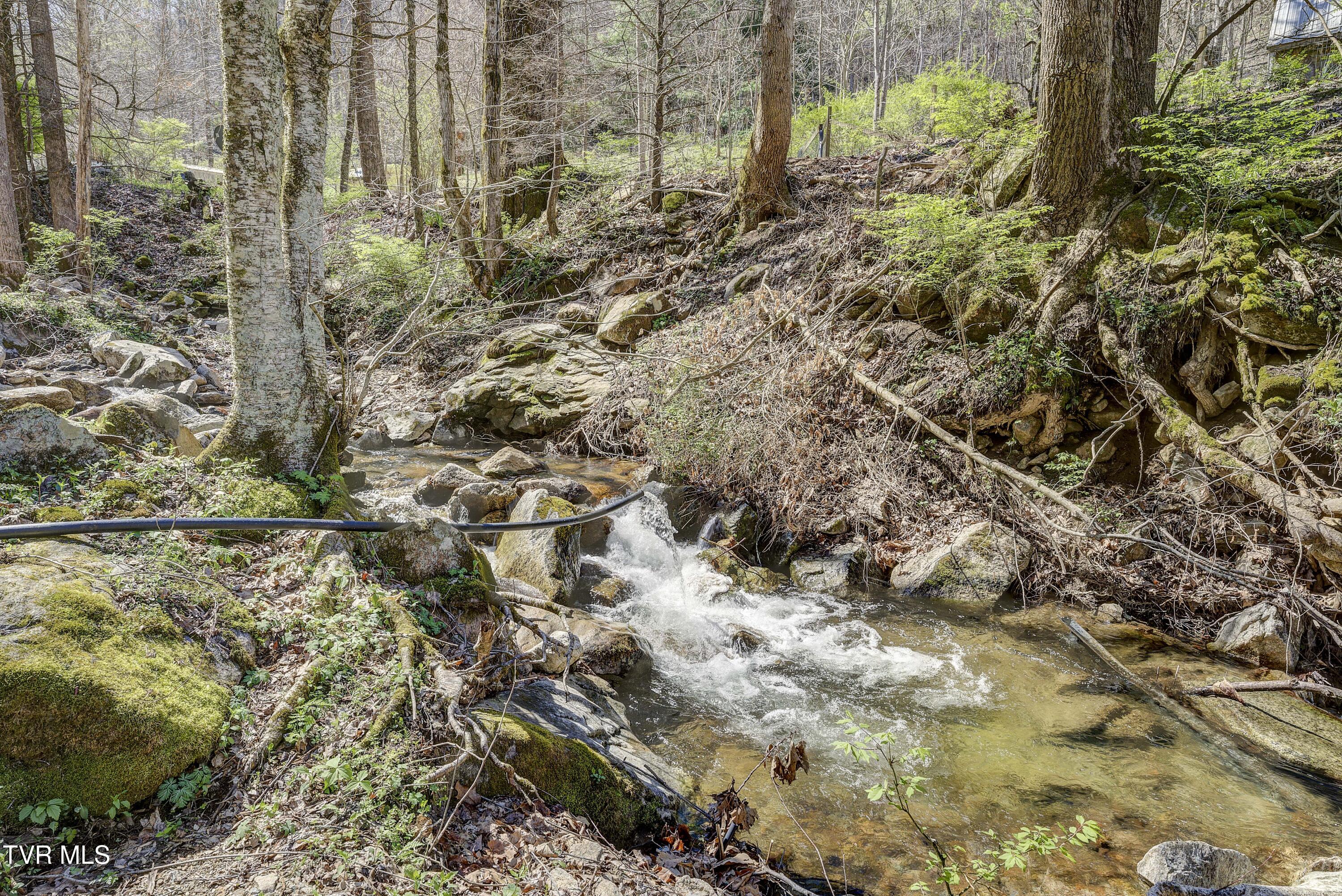 869 Tumbling Creek Road, Erwin, Tennessee image 33