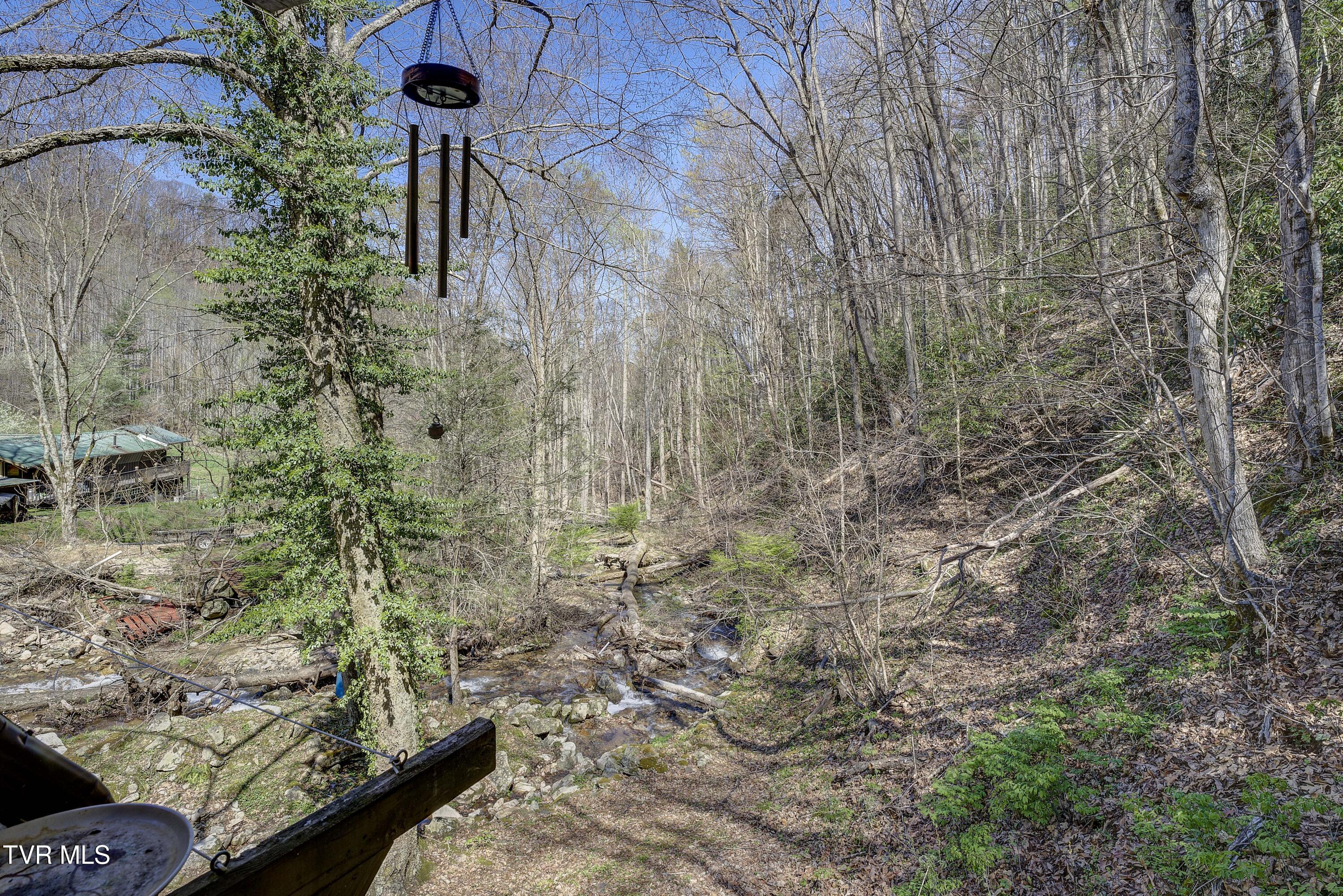 869 Tumbling Creek Road, Erwin, Tennessee image 7