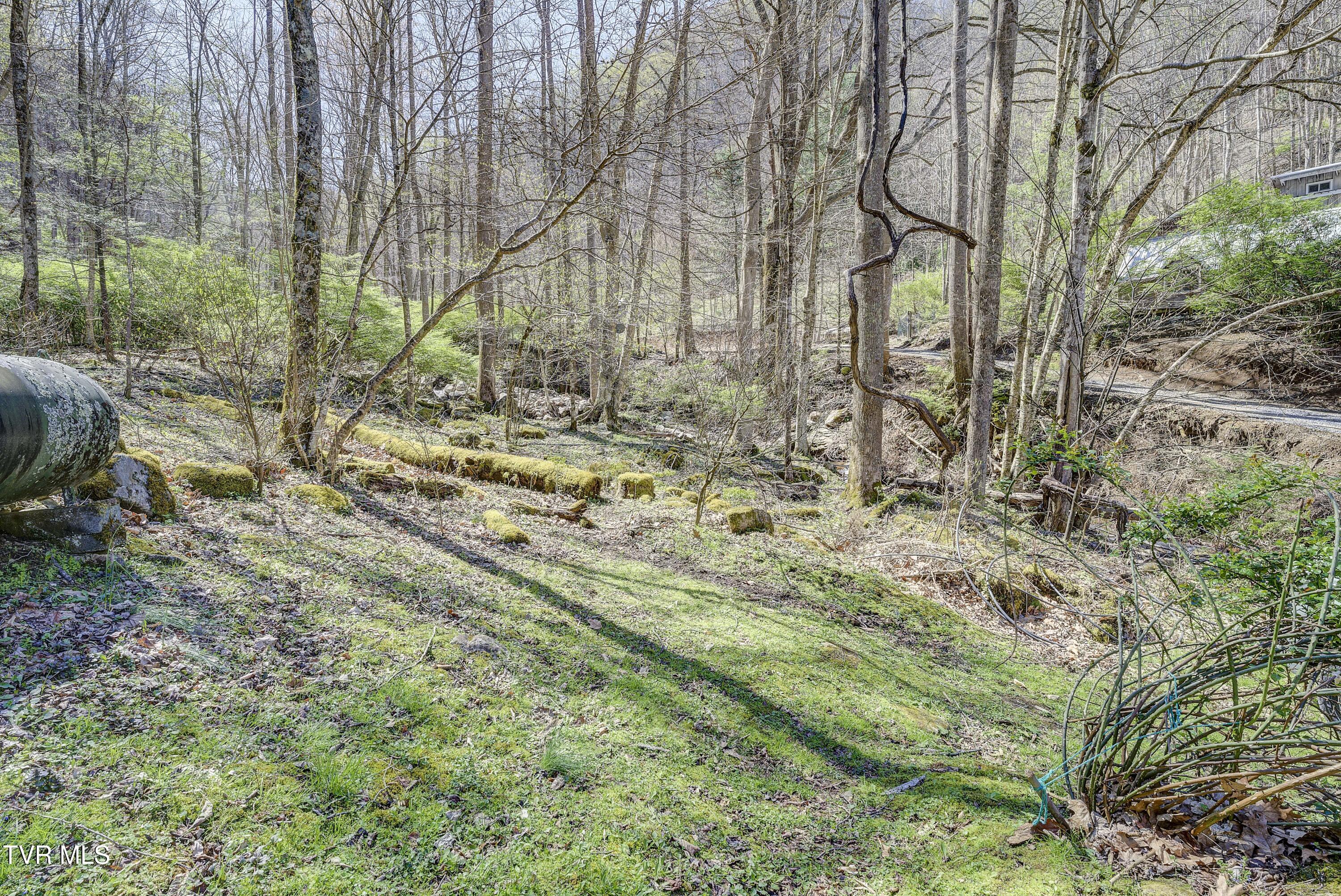 869 Tumbling Creek Road, Erwin, Tennessee image 30