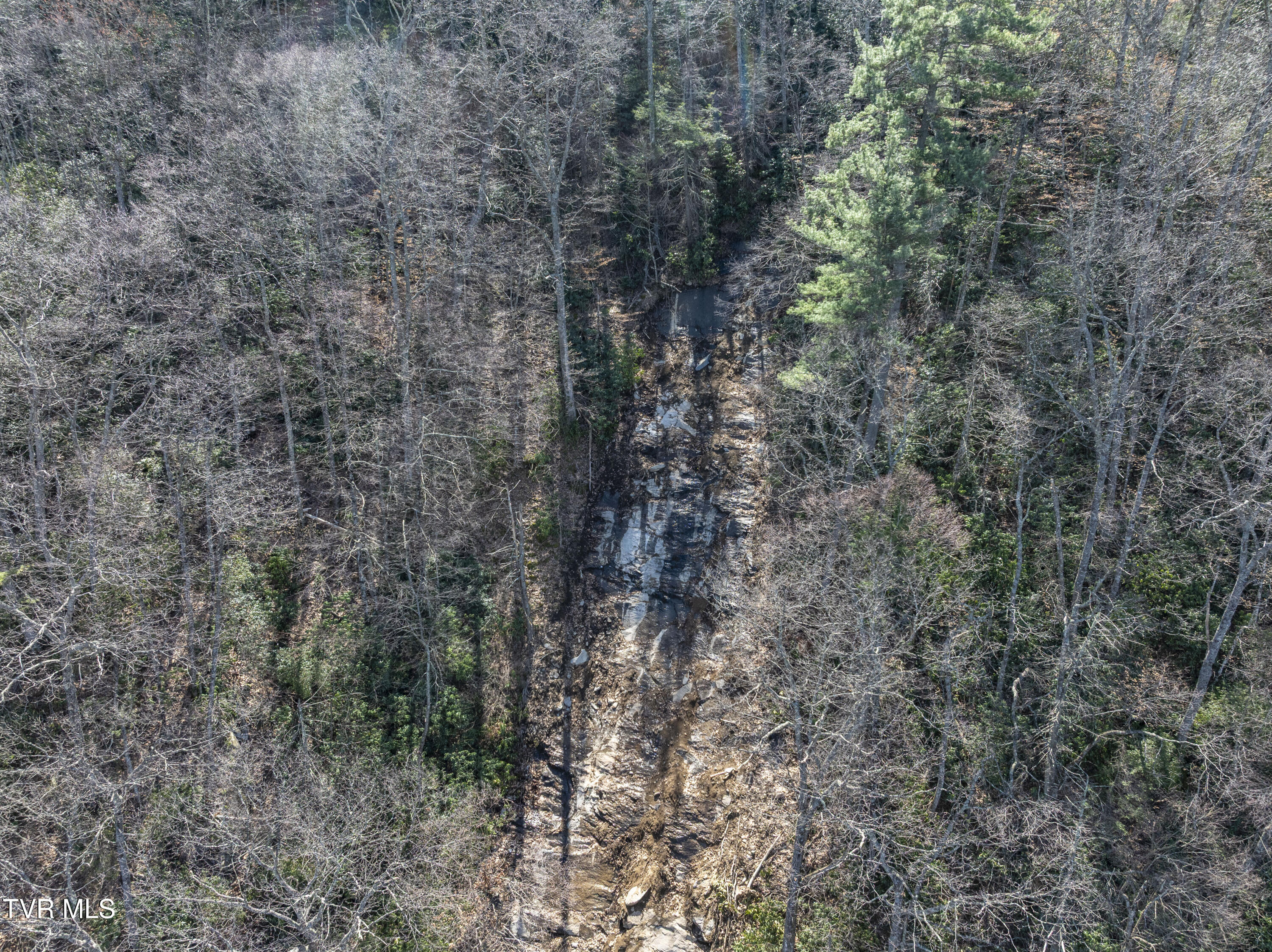 869 Tumbling Creek Road, Erwin, Tennessee image 47