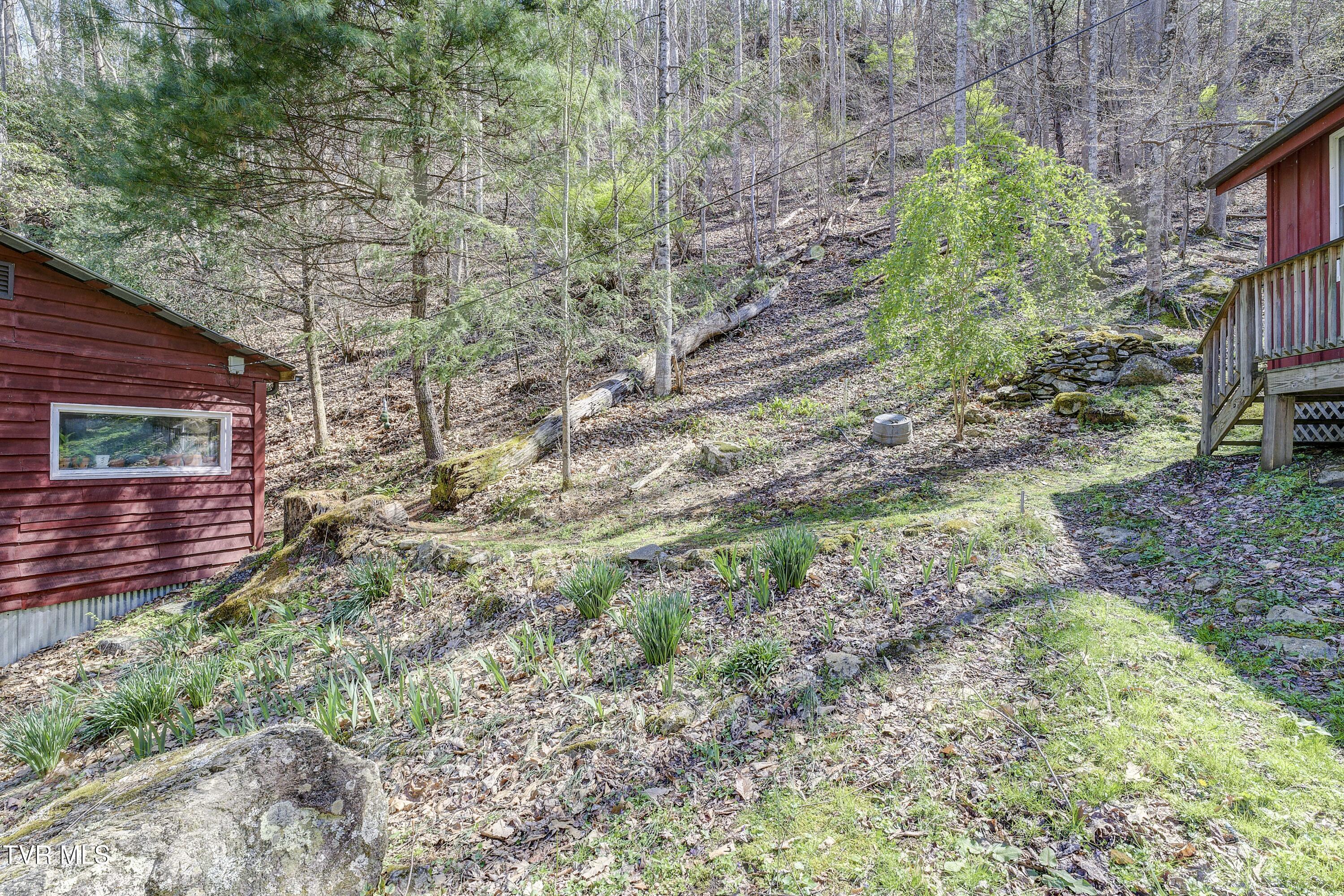 869 Tumbling Creek Road, Erwin, Tennessee image 18