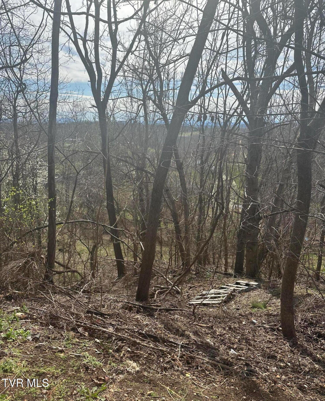 248 Bayberry Drive, Kingsport, Tennessee image 1