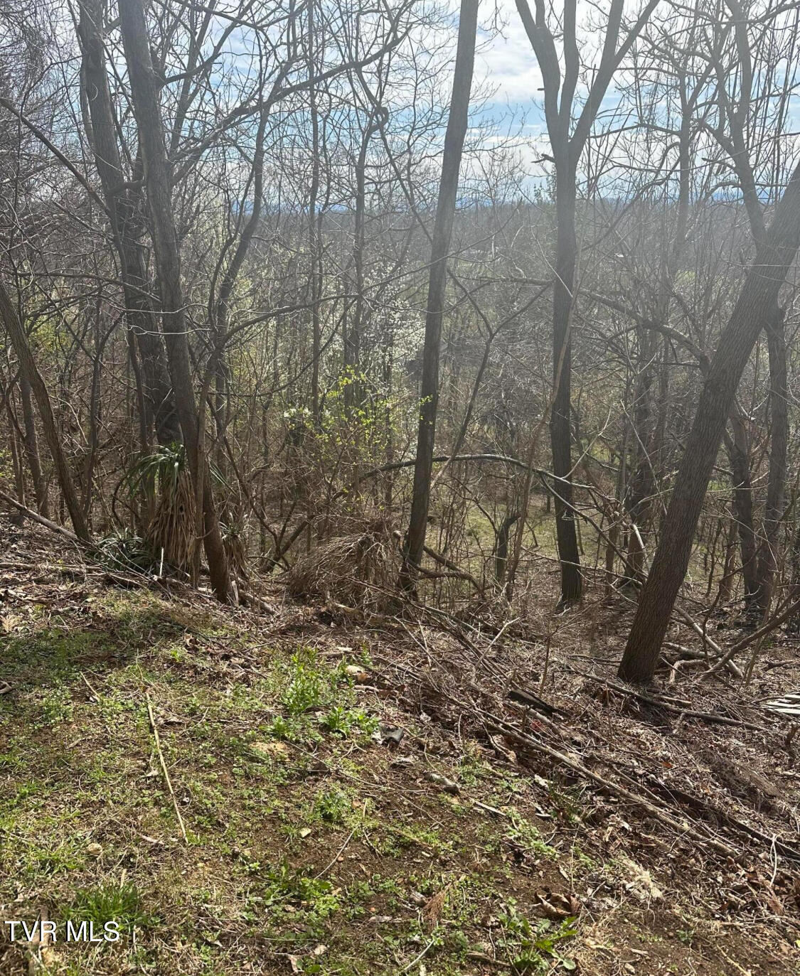 248 Bayberry Drive, Kingsport, Tennessee image 3