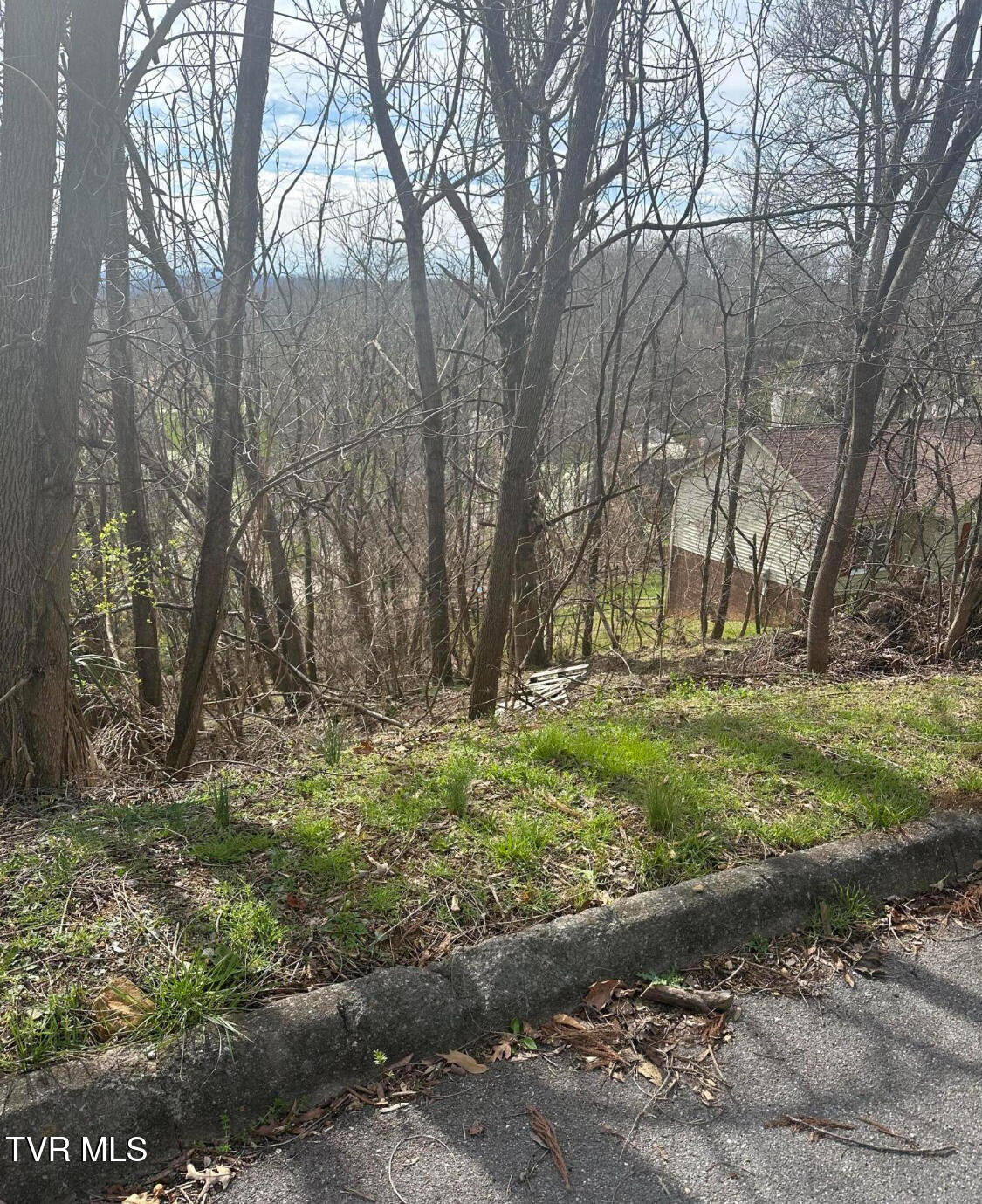 248 Bayberry Drive, Kingsport, Tennessee image 4