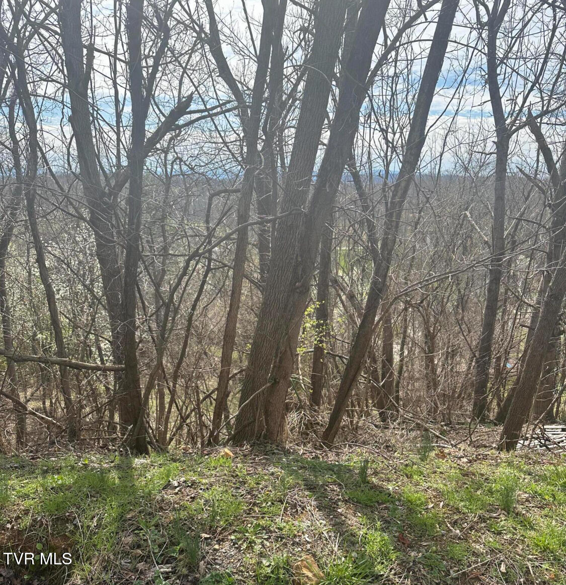 248 Bayberry Drive, Kingsport, Tennessee image 5
