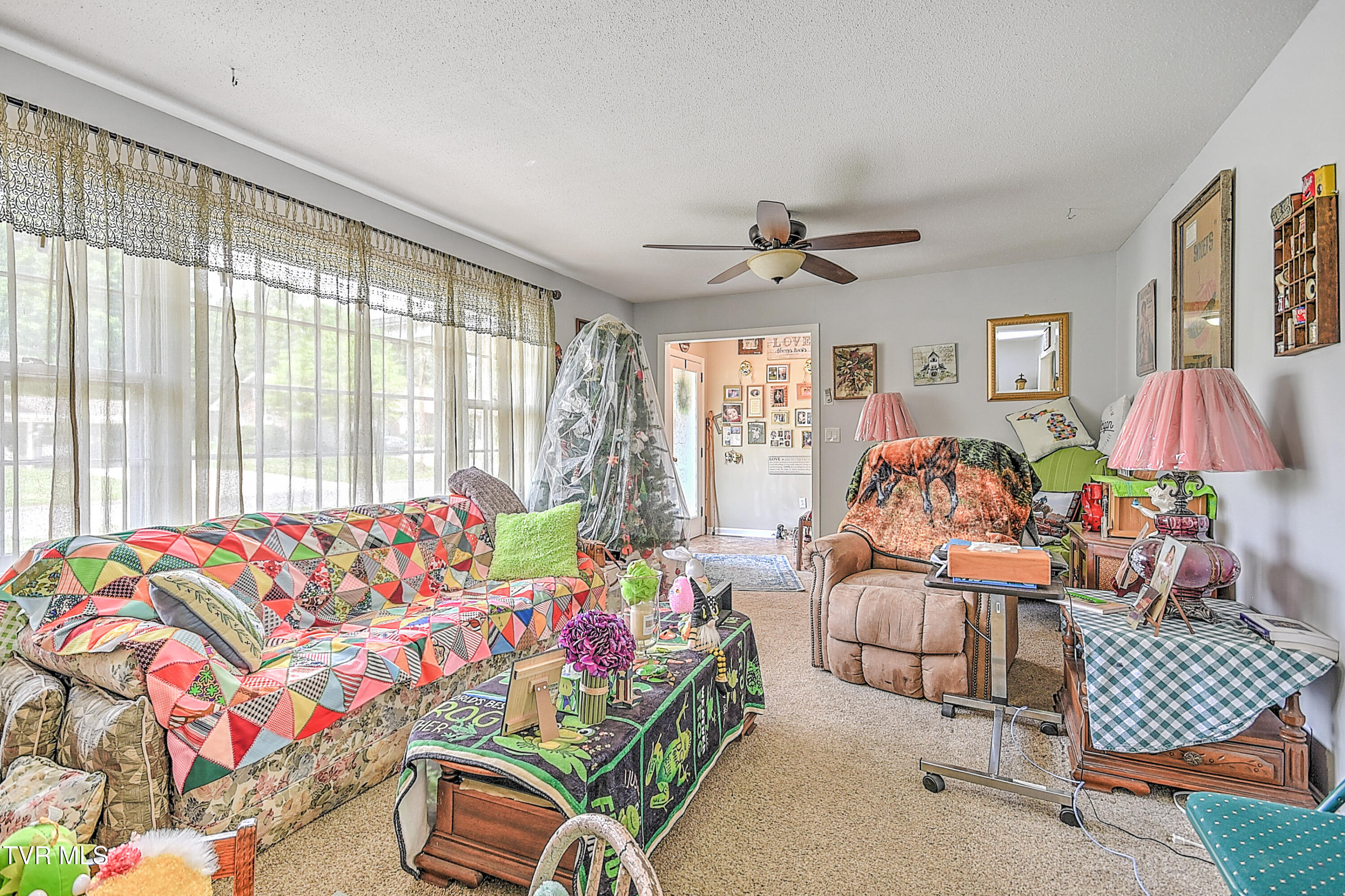 609 Hollyhill Rd Road, Johnson City, Tennessee image 9