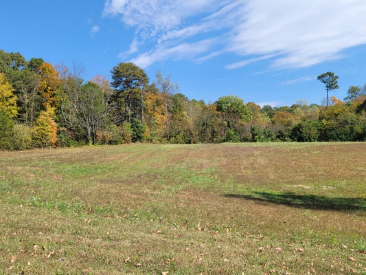 55 TUCKER CT, GREENEVILLE, TN 37743 - Image 6ea511b134f0649eb371ed5bc7d12048/2831556469