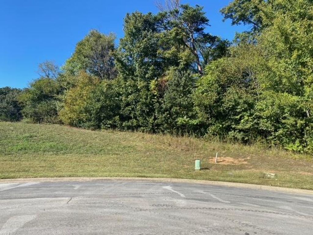 Photo of 55 Tucker Court, Greeneville, TN 37743 (MLS # 9944002)