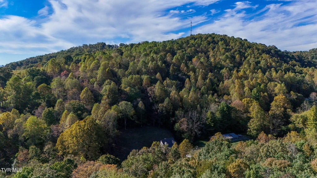 Photo of 181 Cold Springs Road, Blountville, TN 37617 (MLS # 10002070)