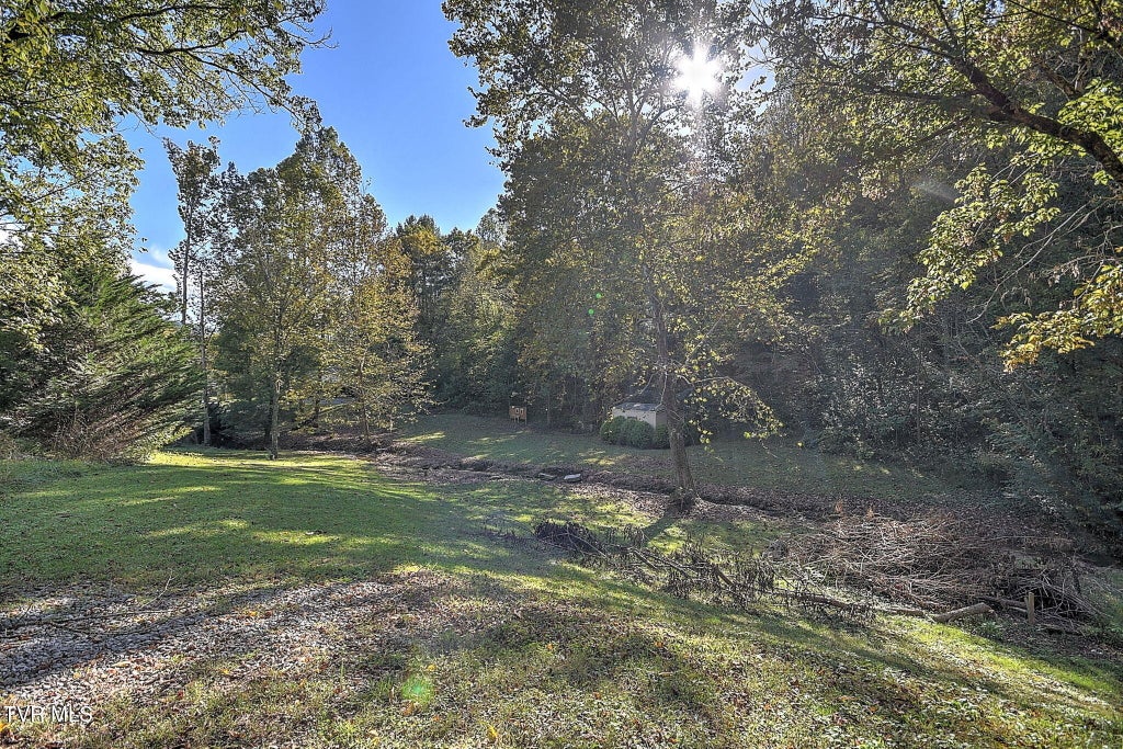 Photo of 181 Cold Springs Road, Blountville, TN 37617 (MLS # 10002070)