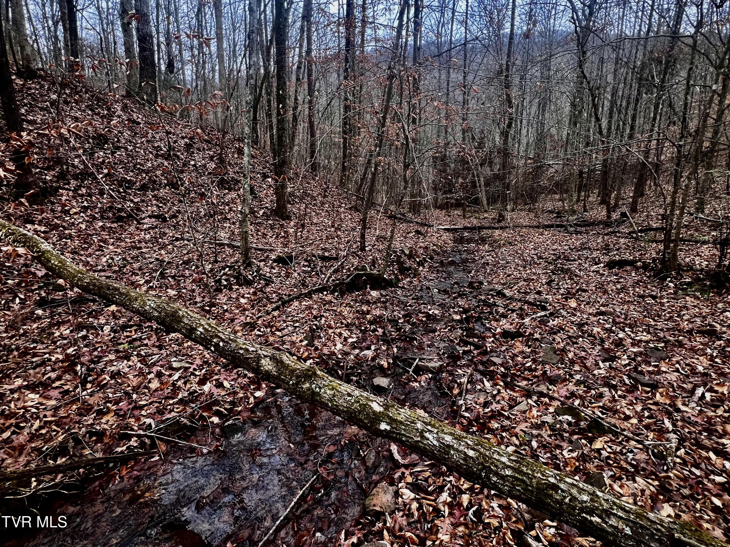 27.4/Ac Tbd Snake Hollow Road, Sneedville, Tennessee image 3