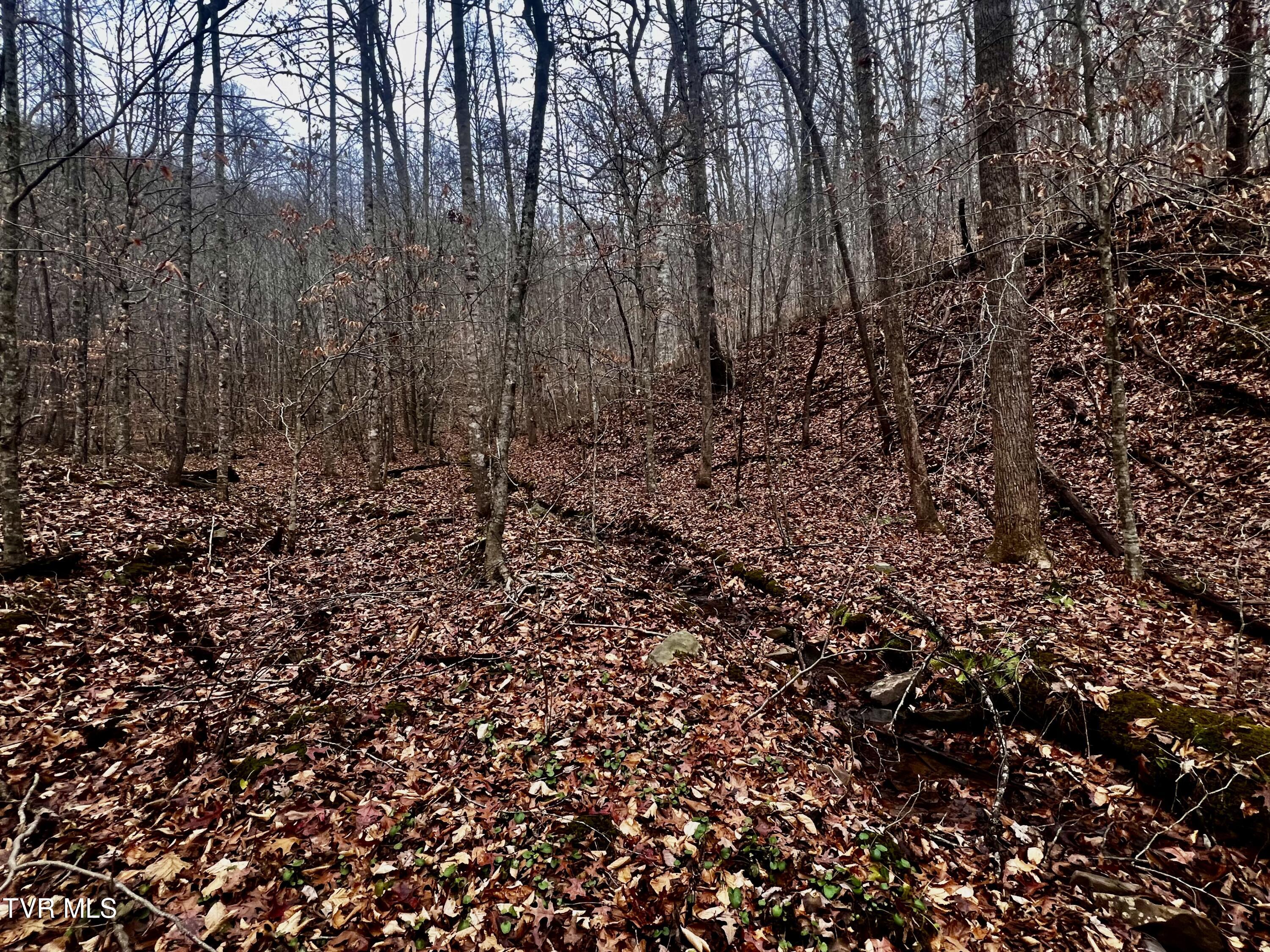 27.4/Ac Tbd Snake Hollow Road, Sneedville, Tennessee image 8