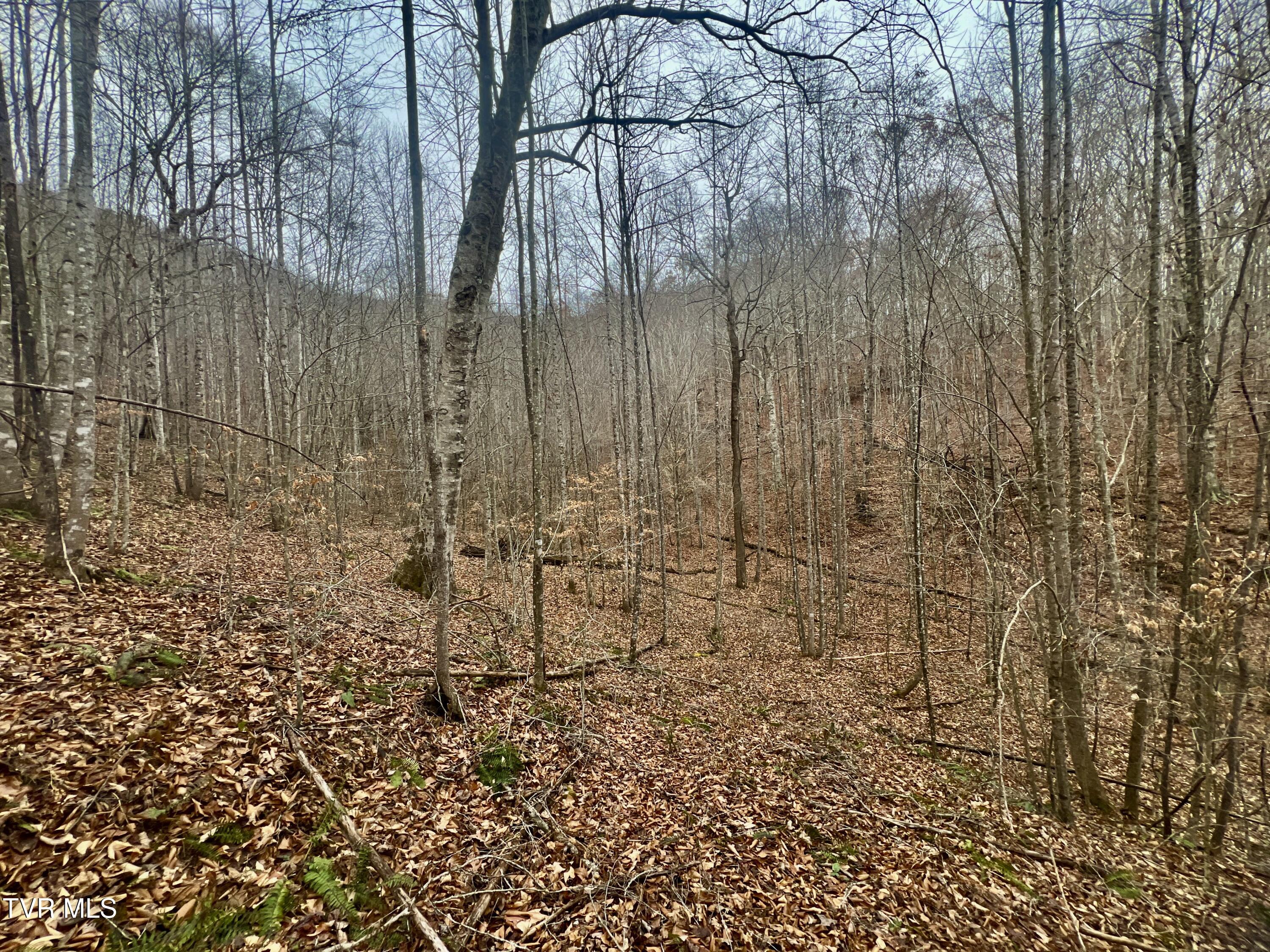 27.4/Ac Tbd Snake Hollow Road, Sneedville, Tennessee image 7